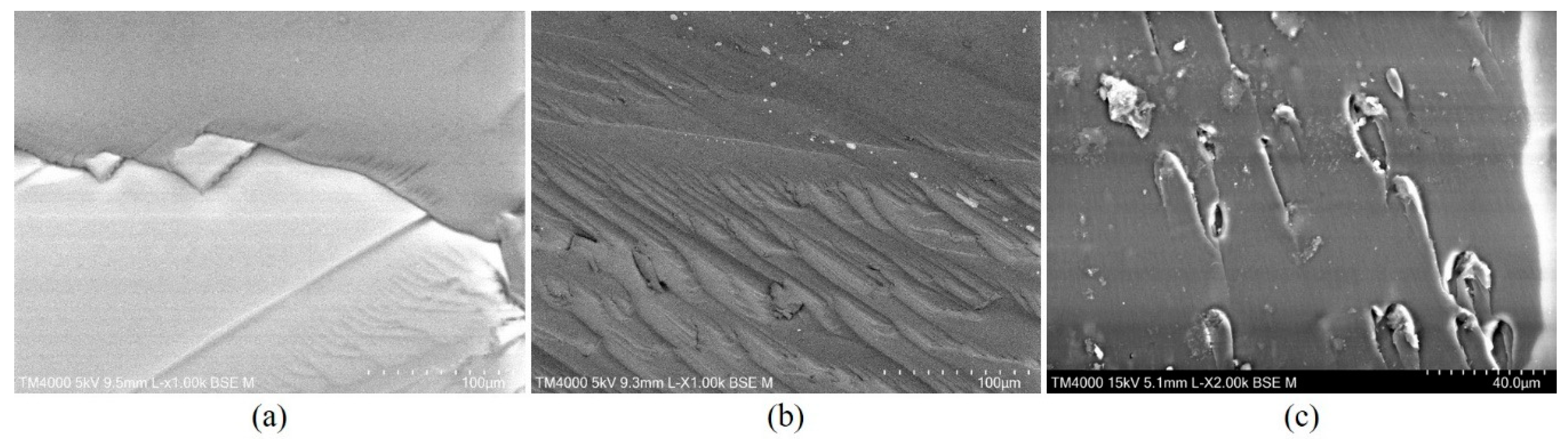 Metals 09 01214 g003