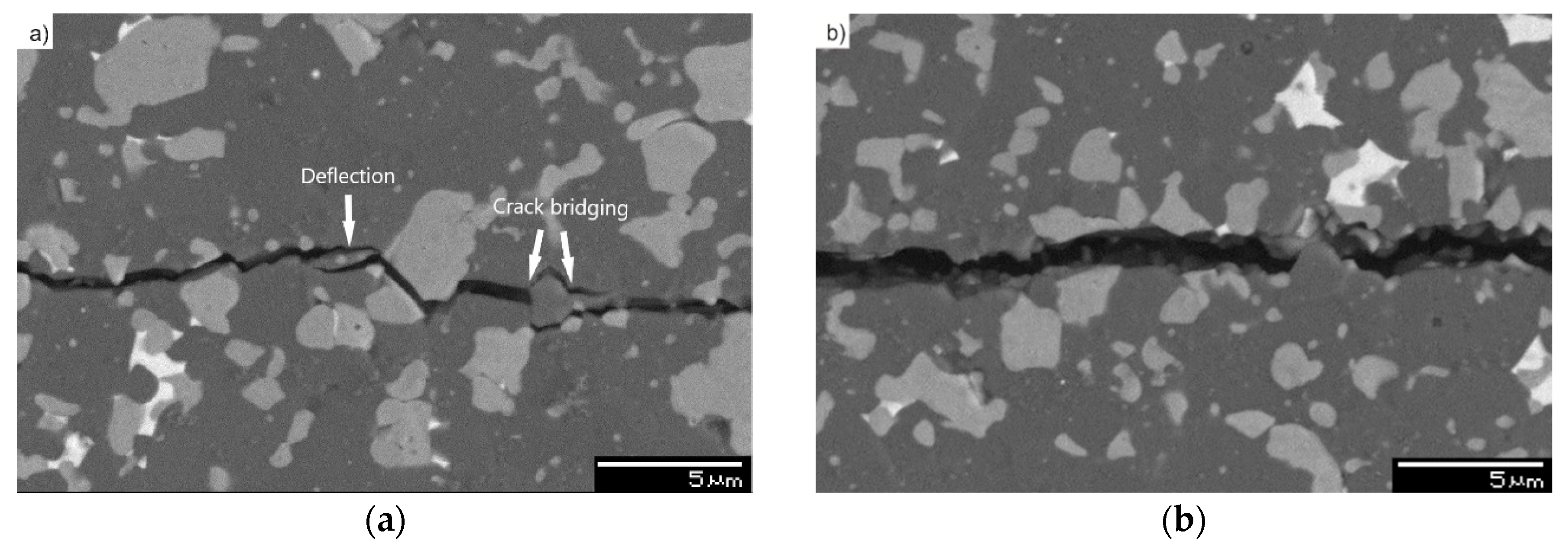 Metals 09 01220 g006