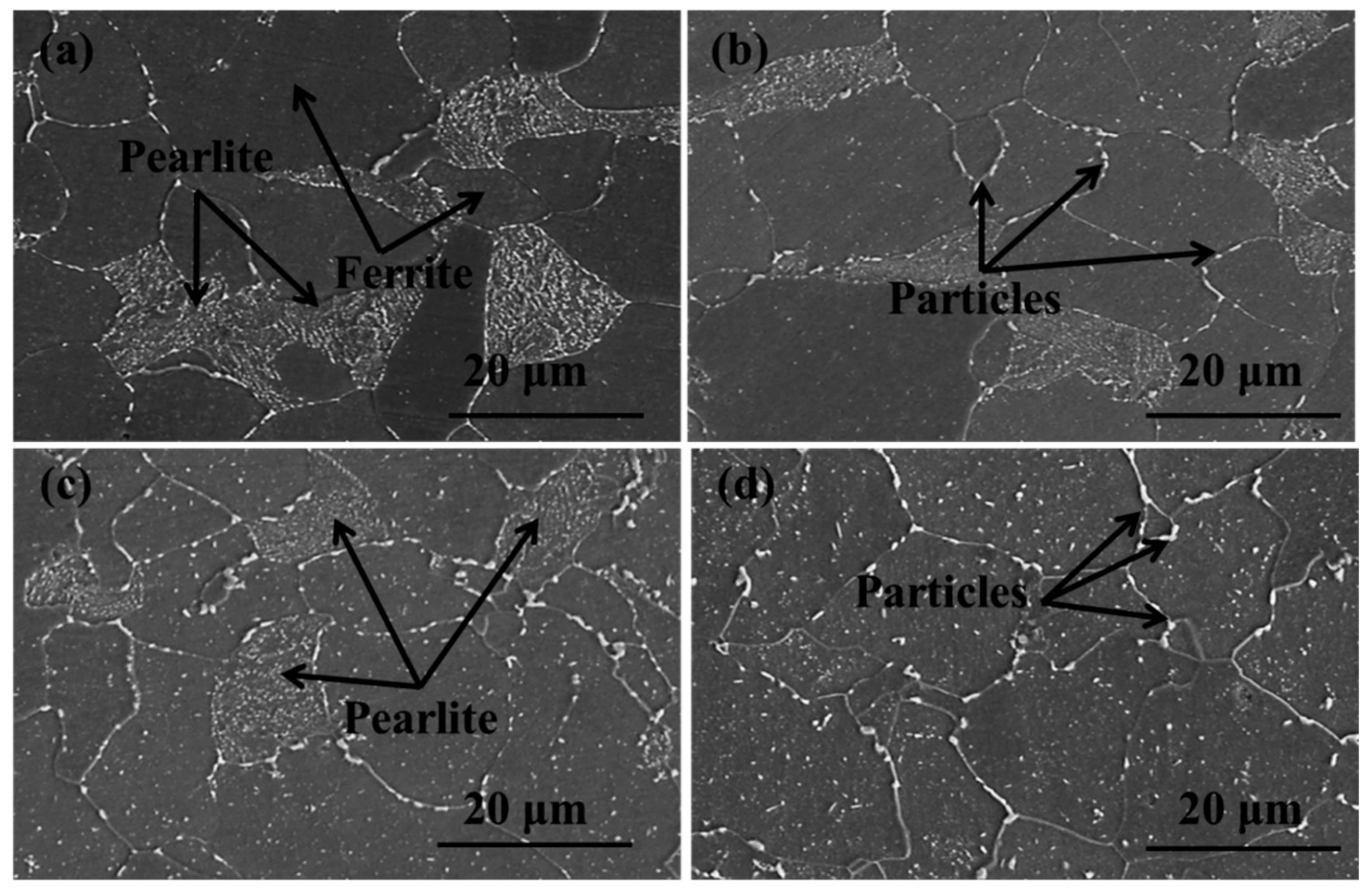 Metals 09 01221 g005 550