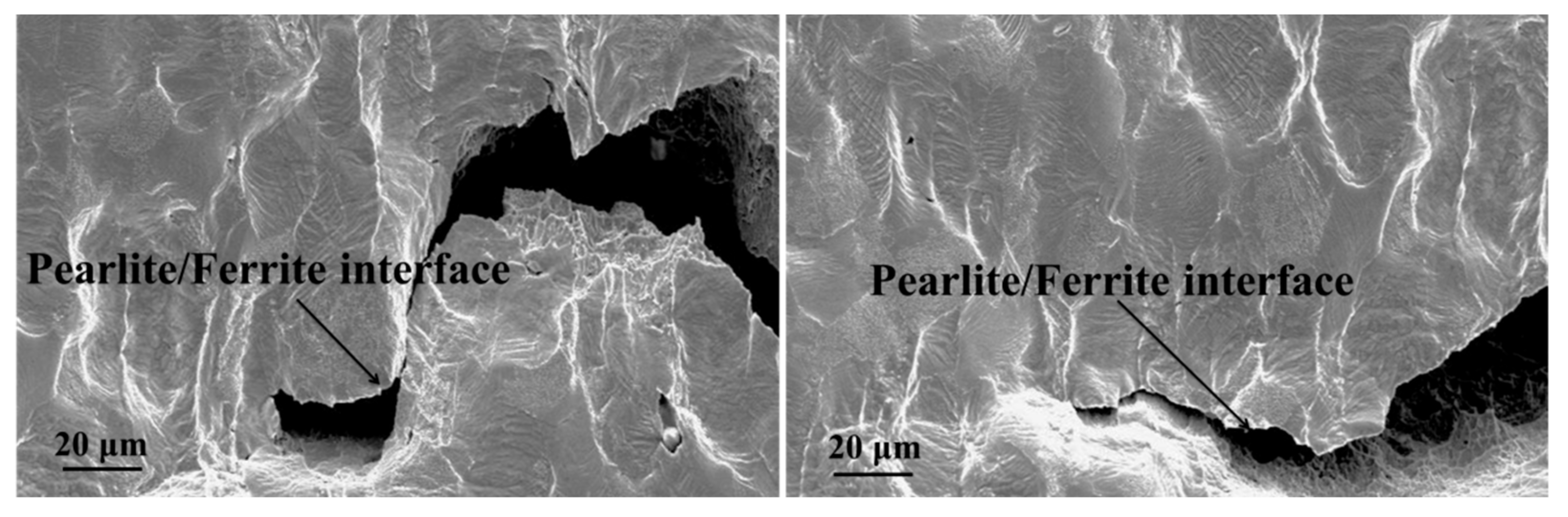 Metals 09 01221 g010 550