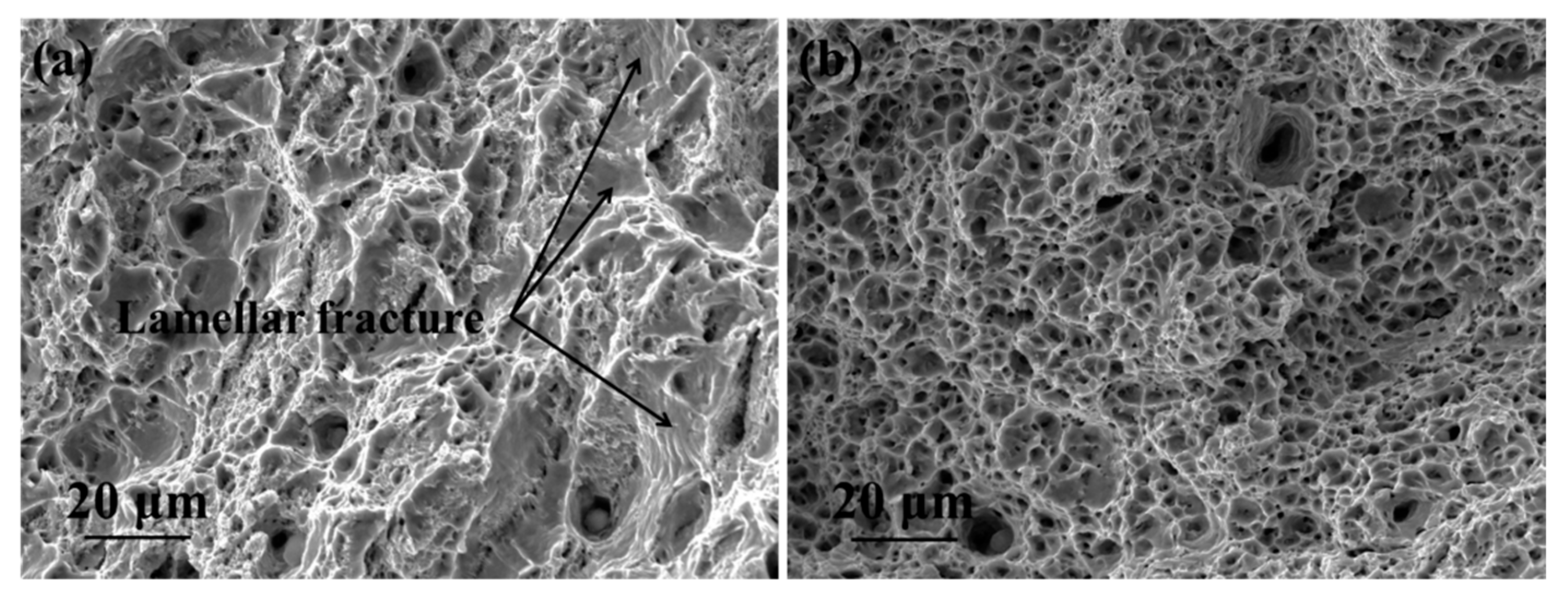 Metals 09 01221 g012 550