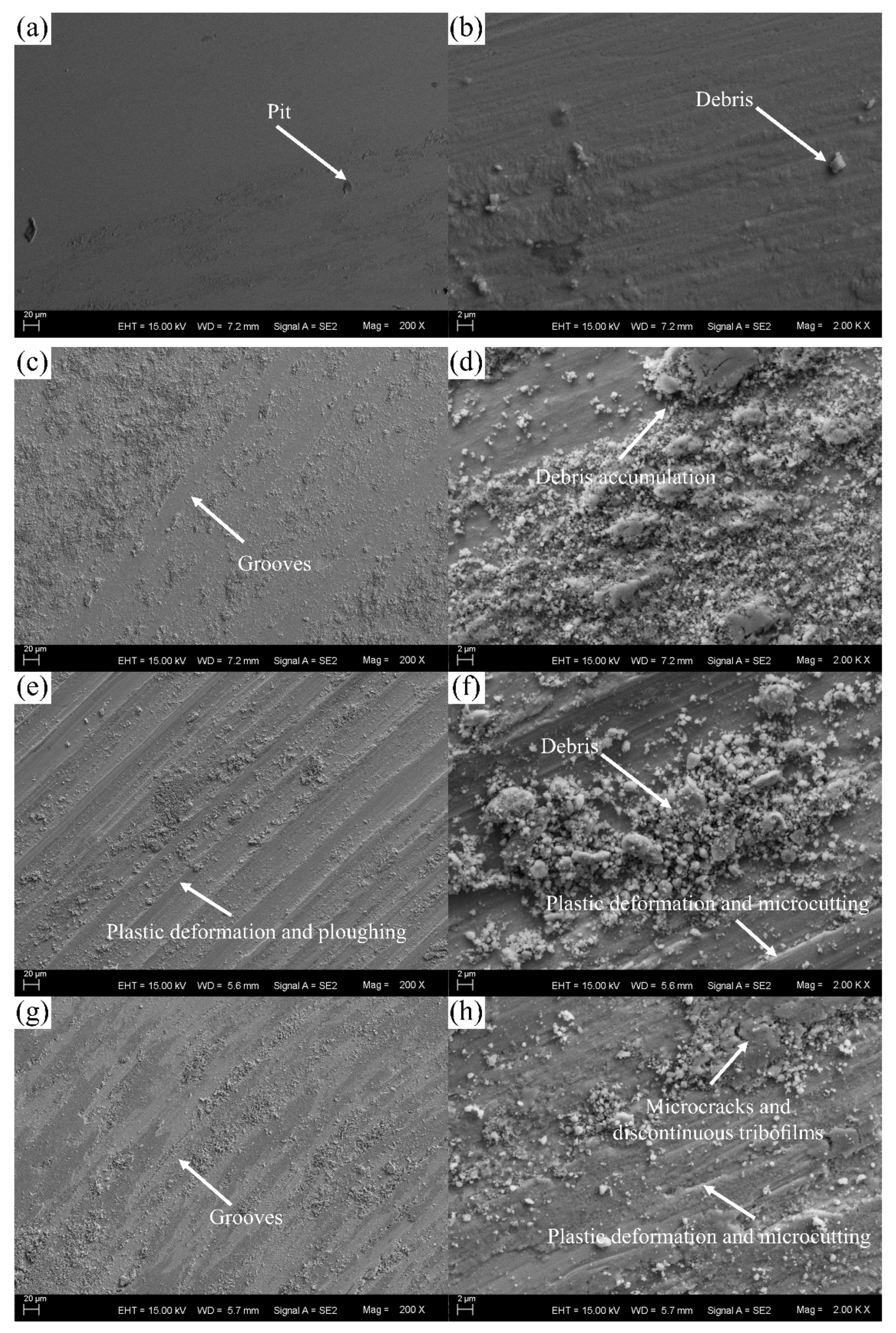 Metals 09 01224 g006