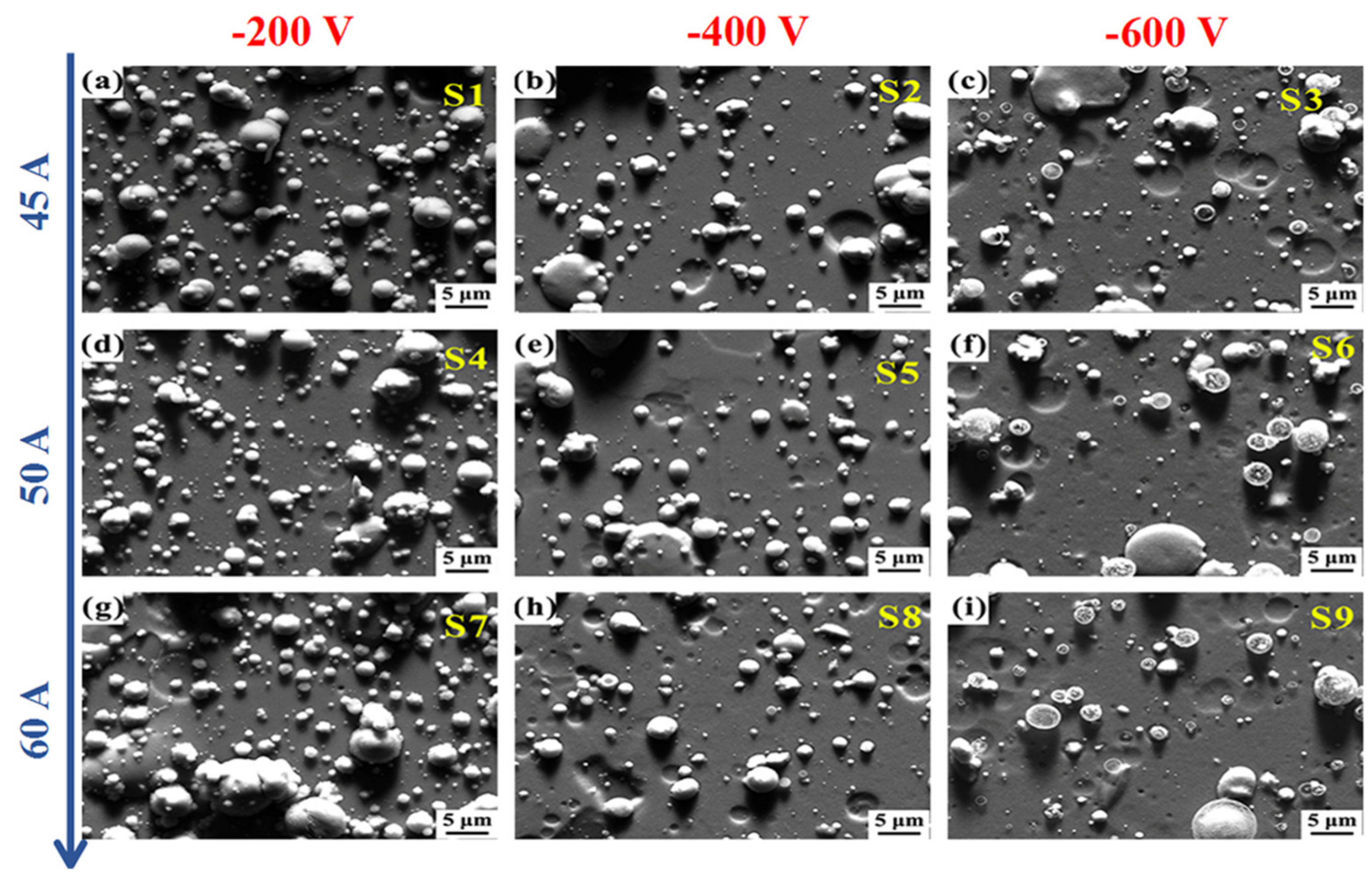 Metals 09 01229 g002