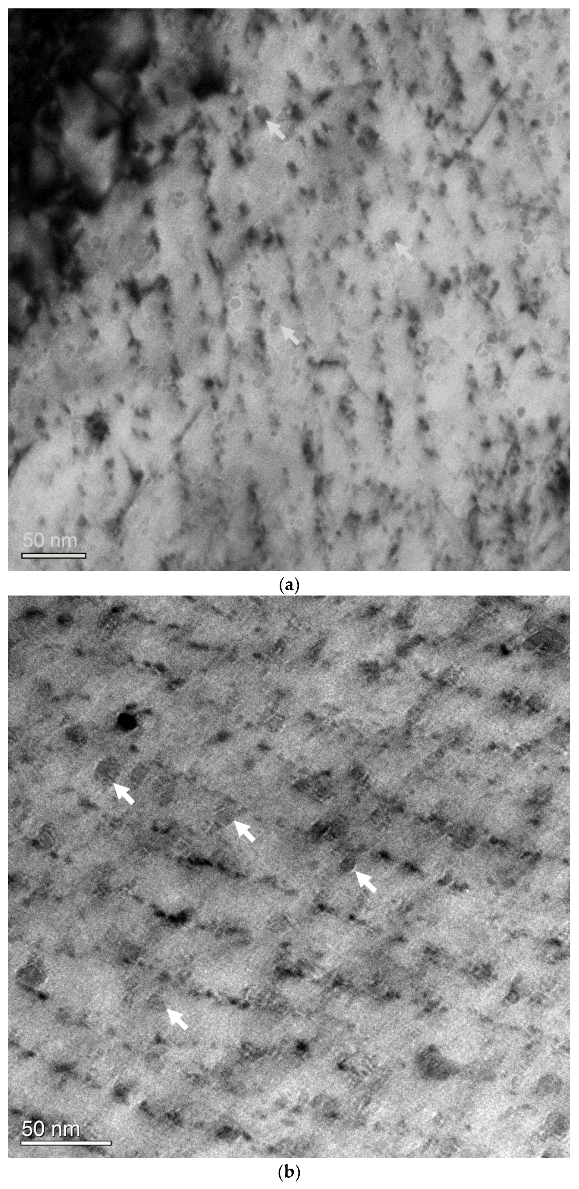 Metals 09 01230 g005