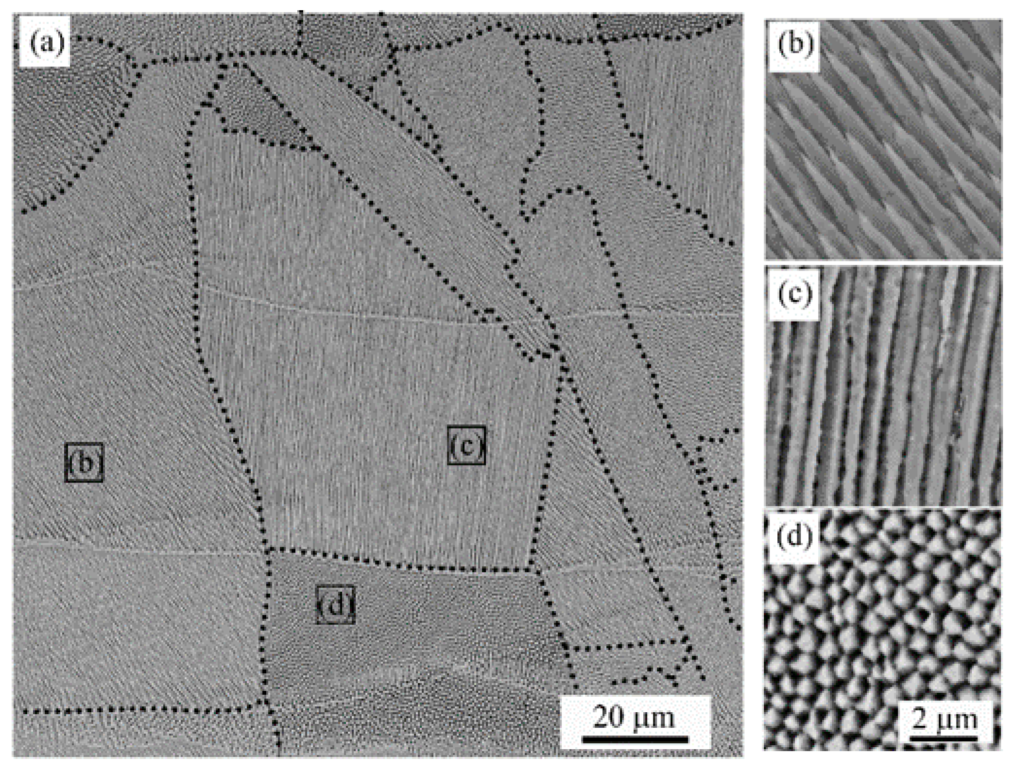 Metals 09 01231 g001