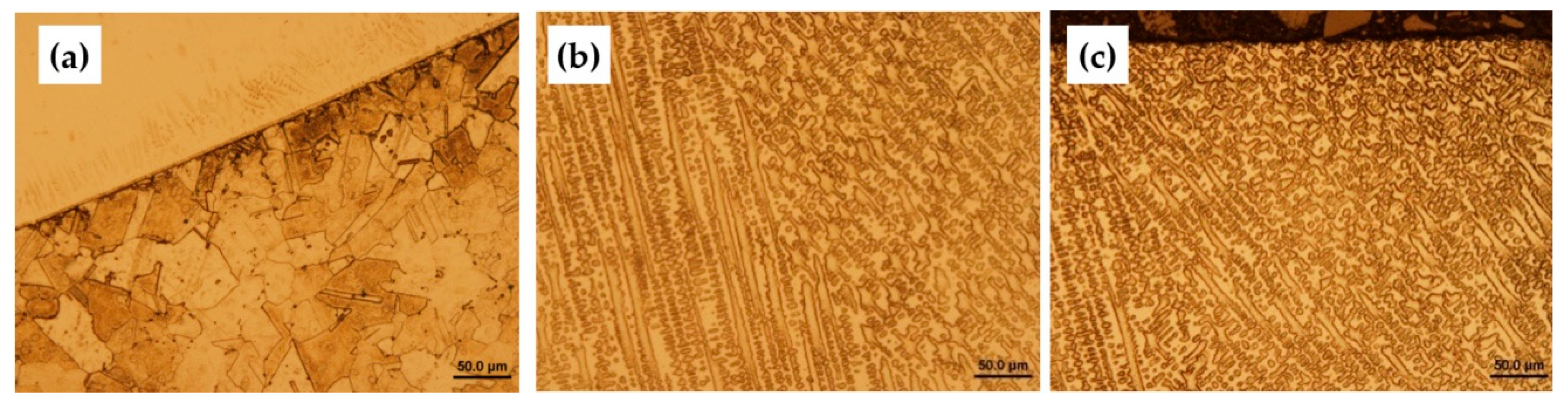 Metals 09 01232 g005