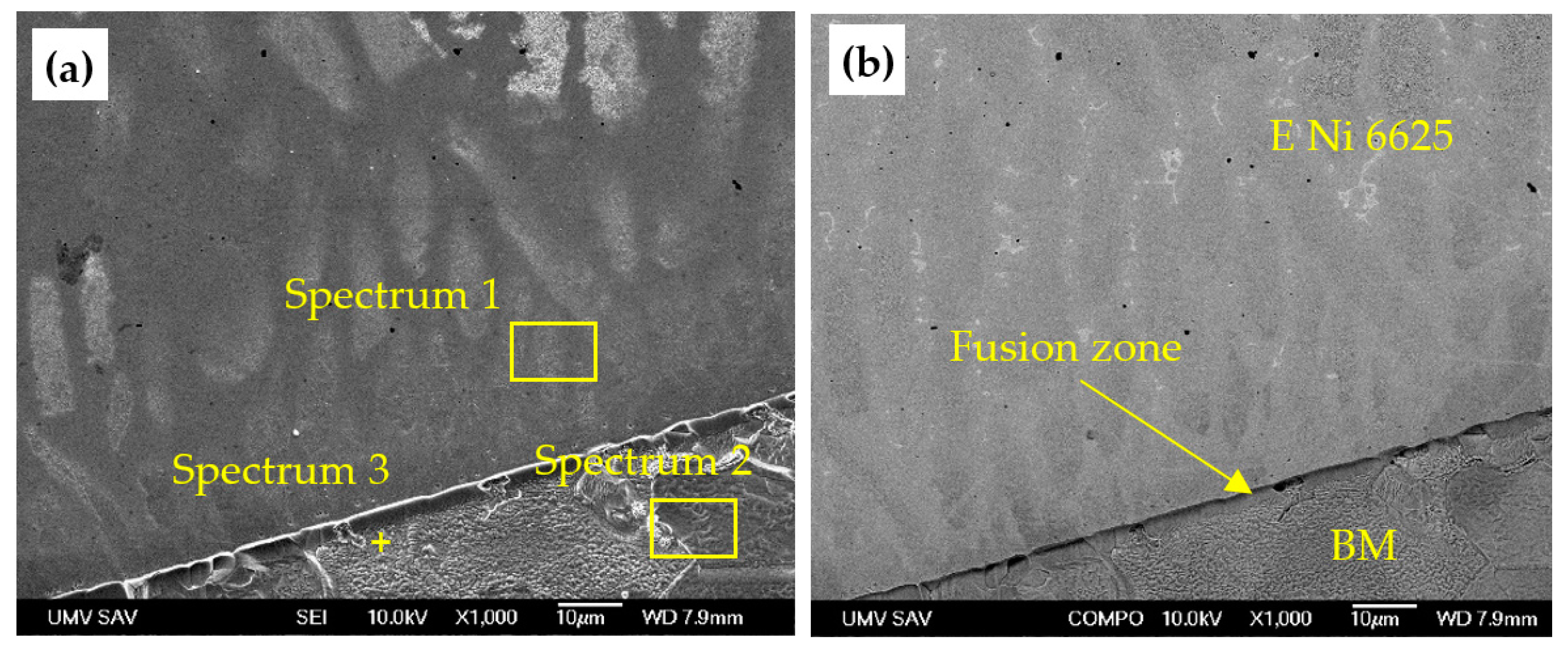 Metals 09 01232 g006