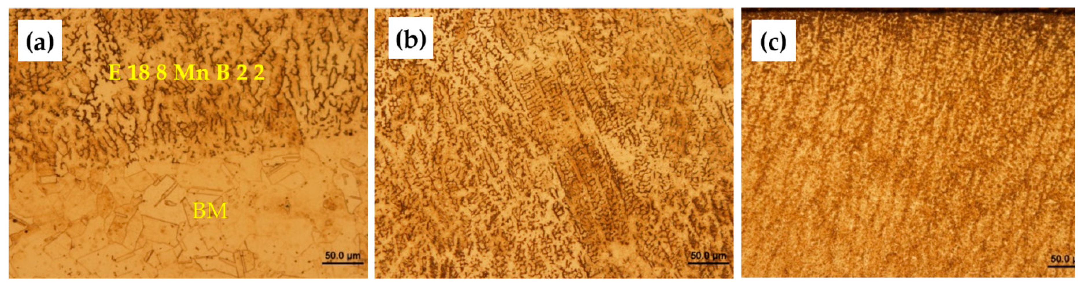 Metals 09 01232 g009