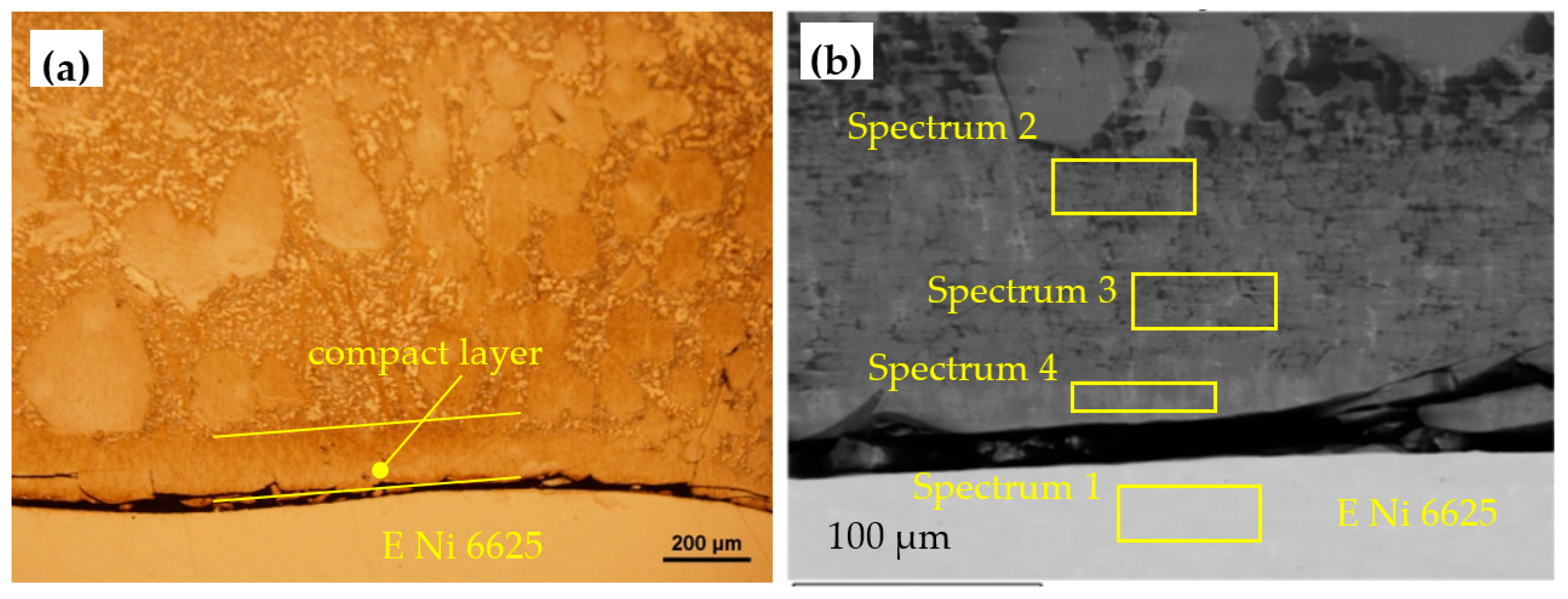 Metals 09 01232 g013
