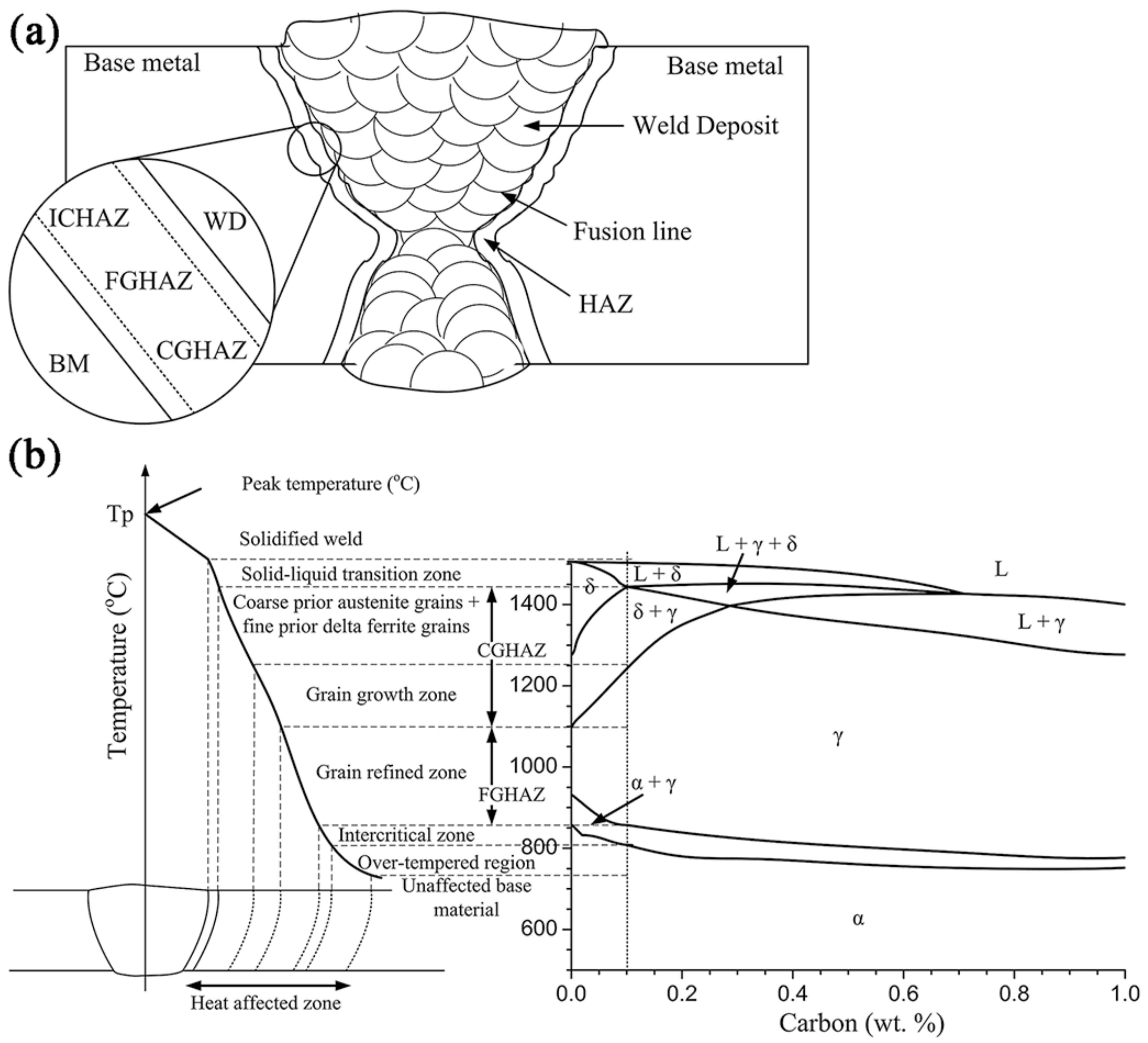 Metals 09 01233 g001
