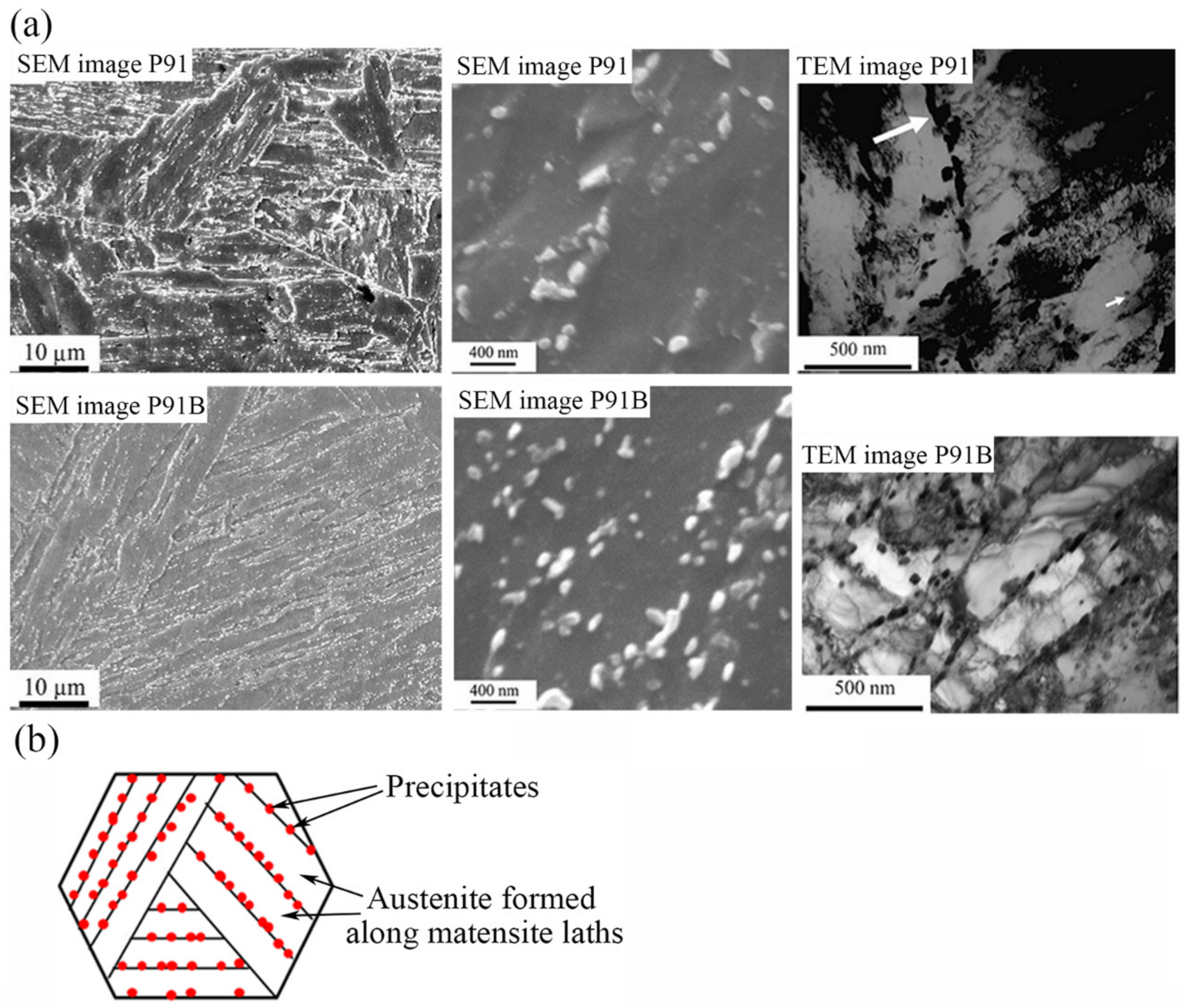 Metals 09 01233 g005
