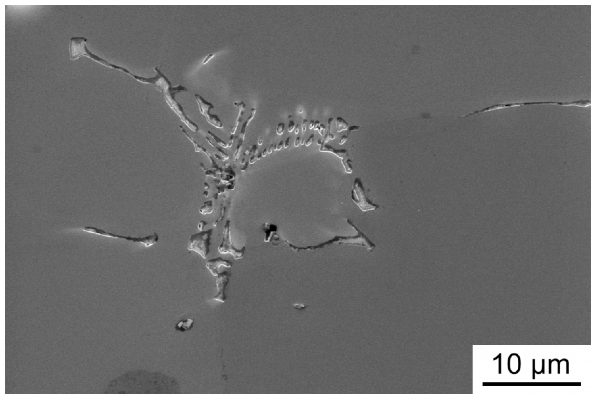 Metals 09 01248 g004