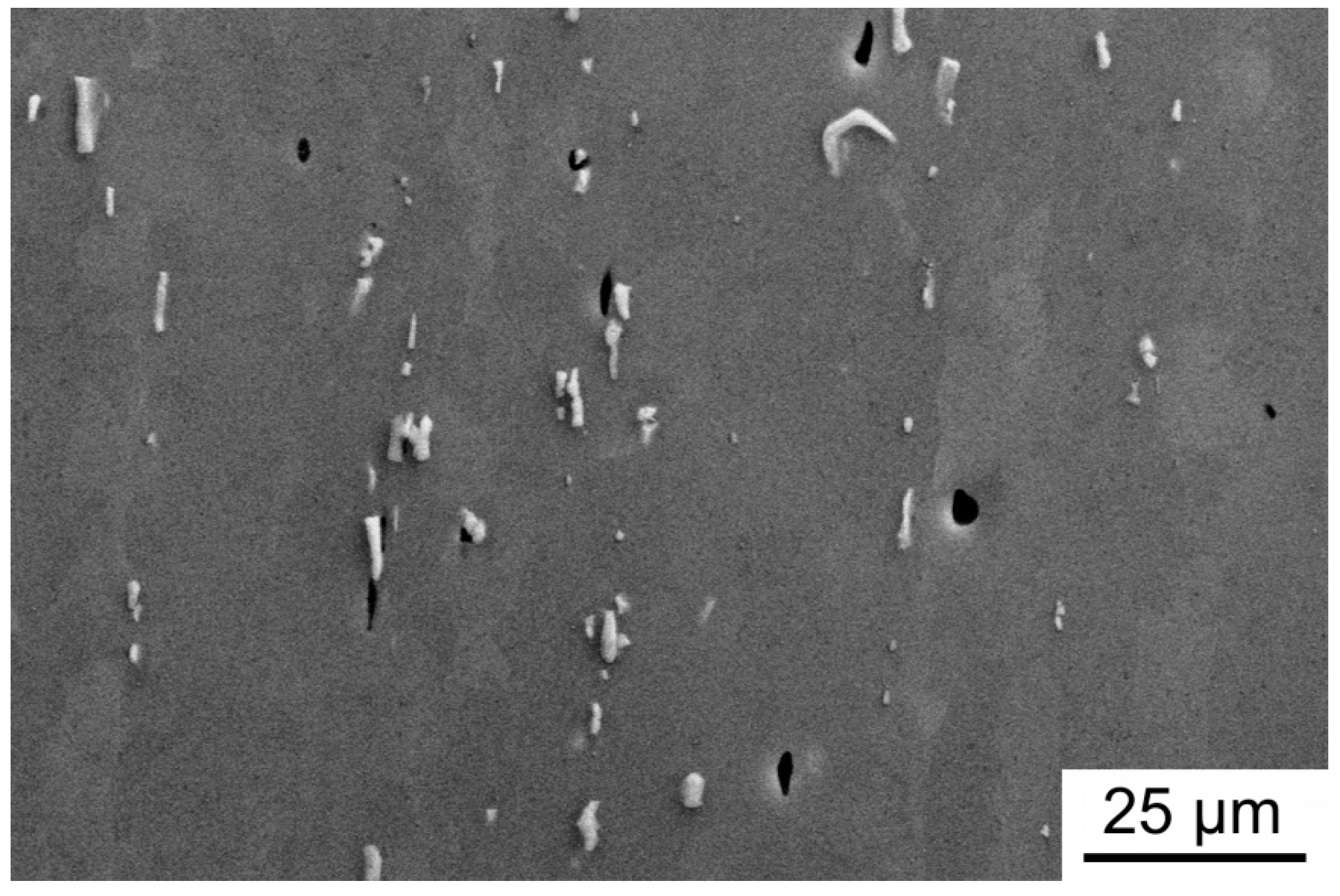 Metals 09 01248 g006