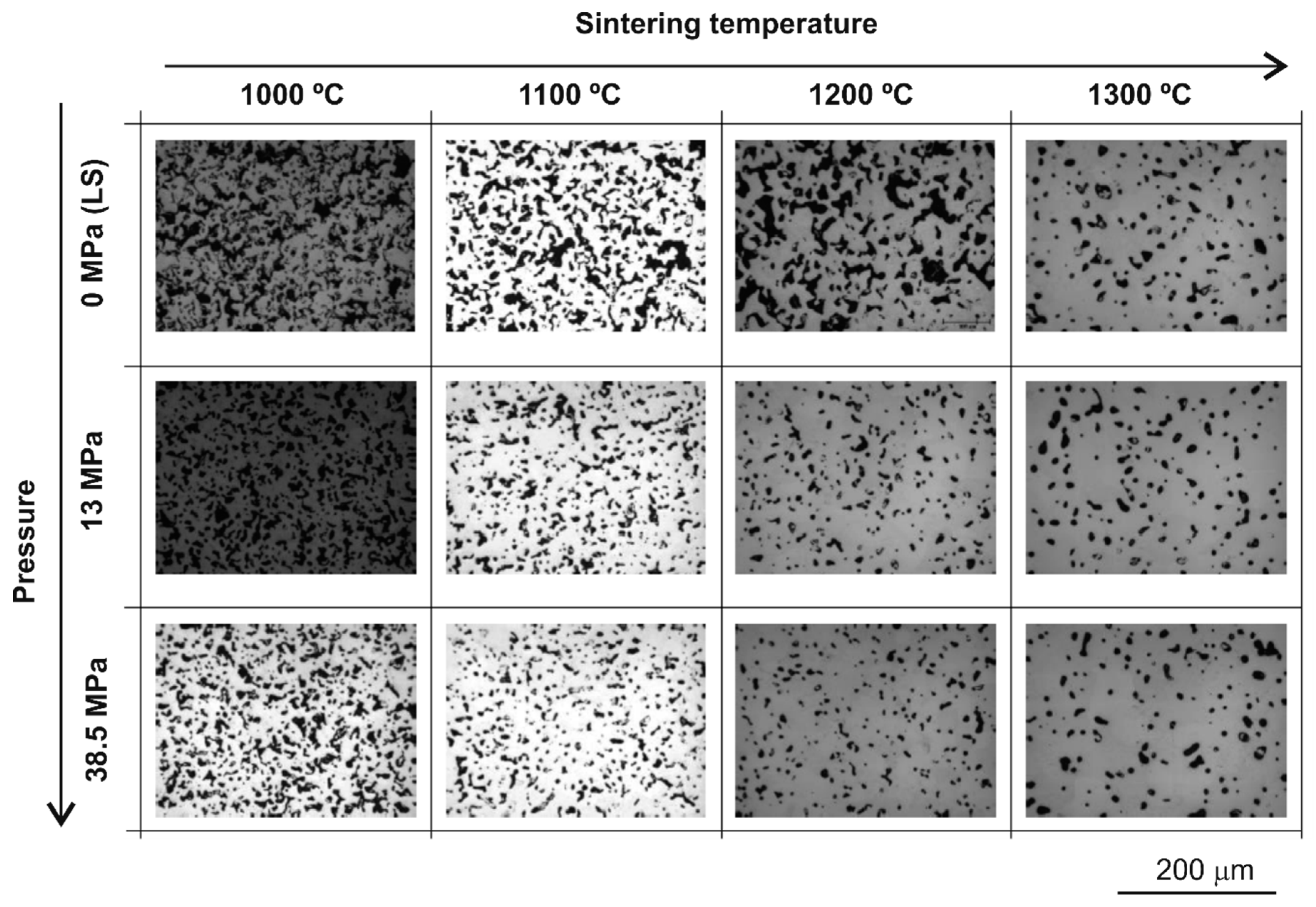 Metals 09 01249 g002
