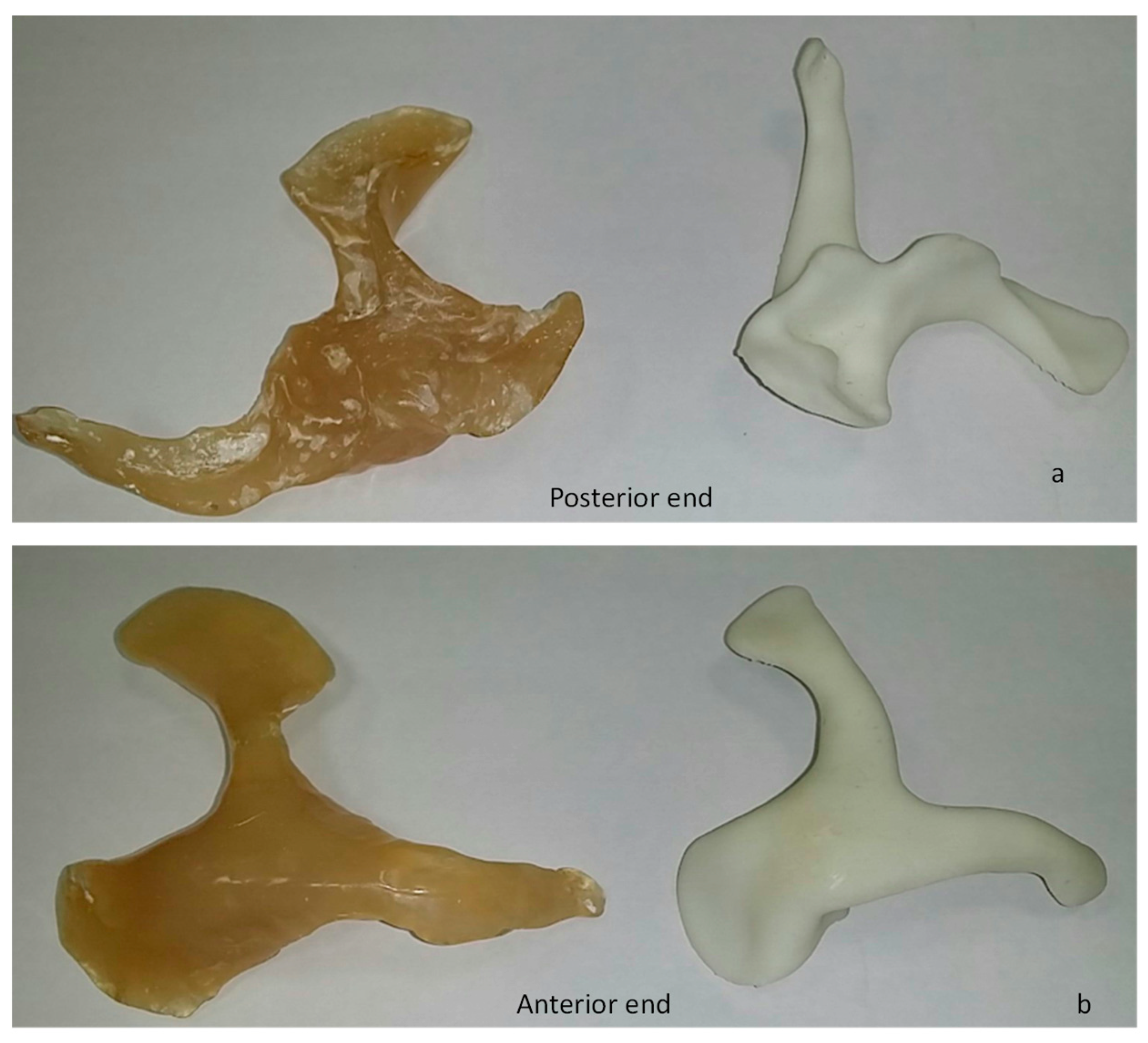 Metals 09 01250 g005 Metals 09 01250 g005