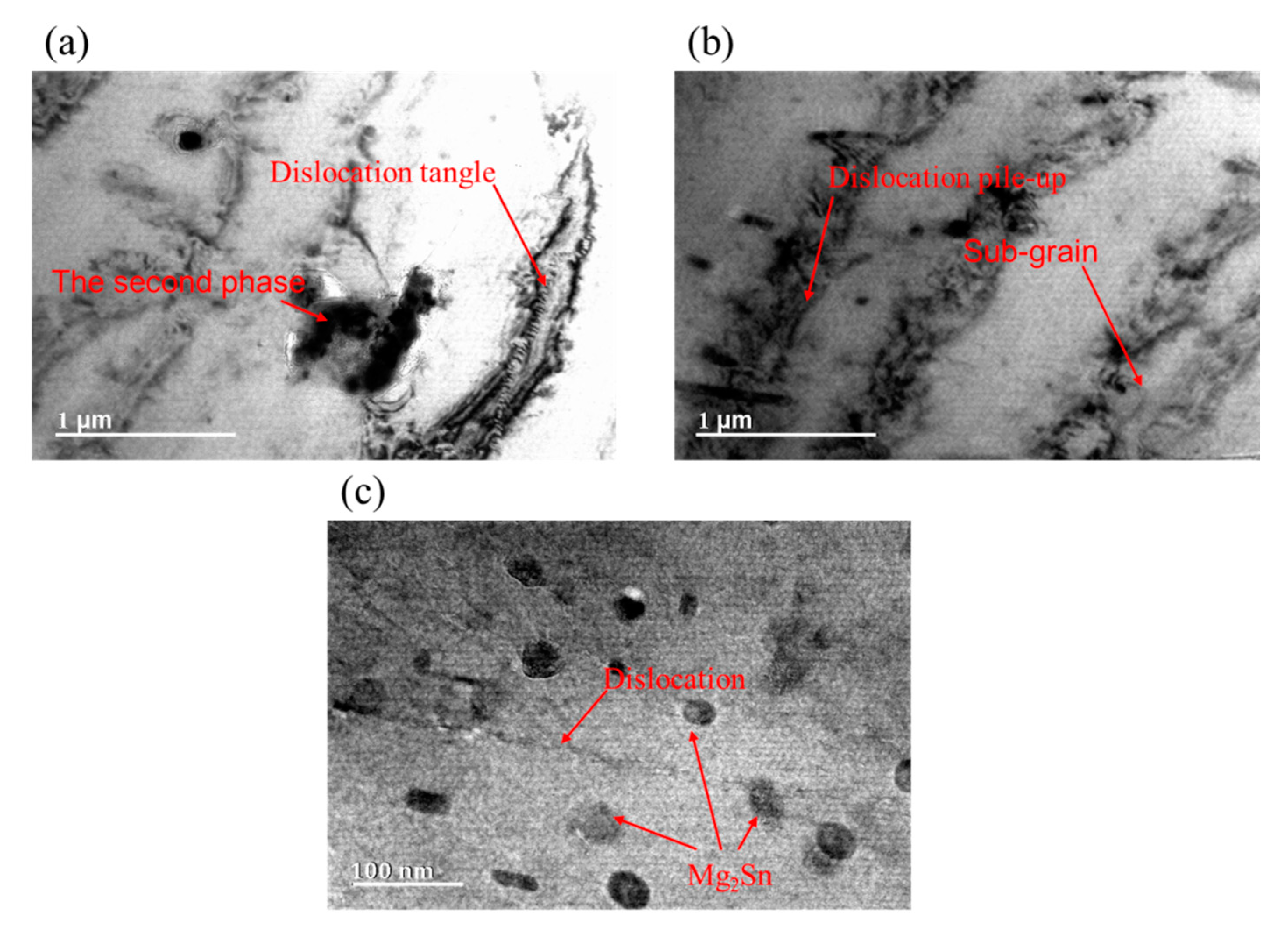 Metals 09 01262 g011 550