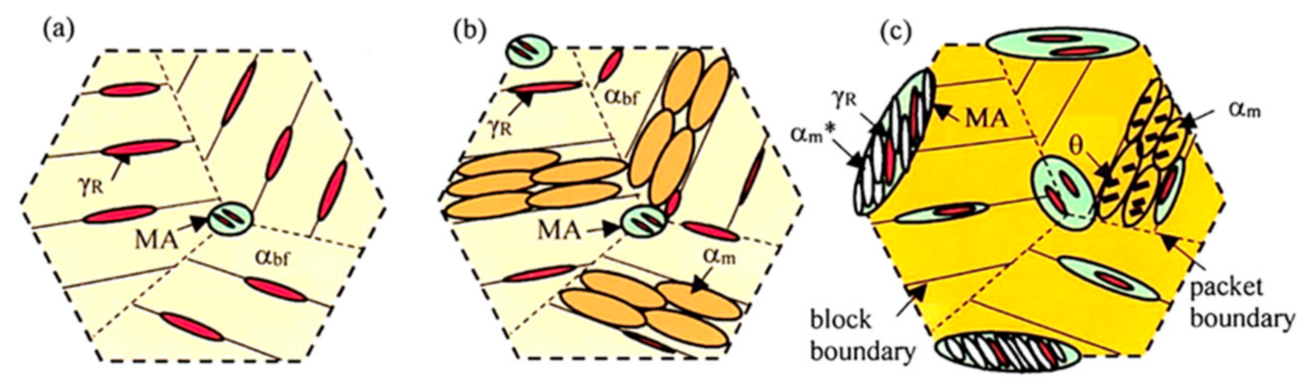 Schematic illustration on the formation of martensite bainite and   Download Scientific Diagram