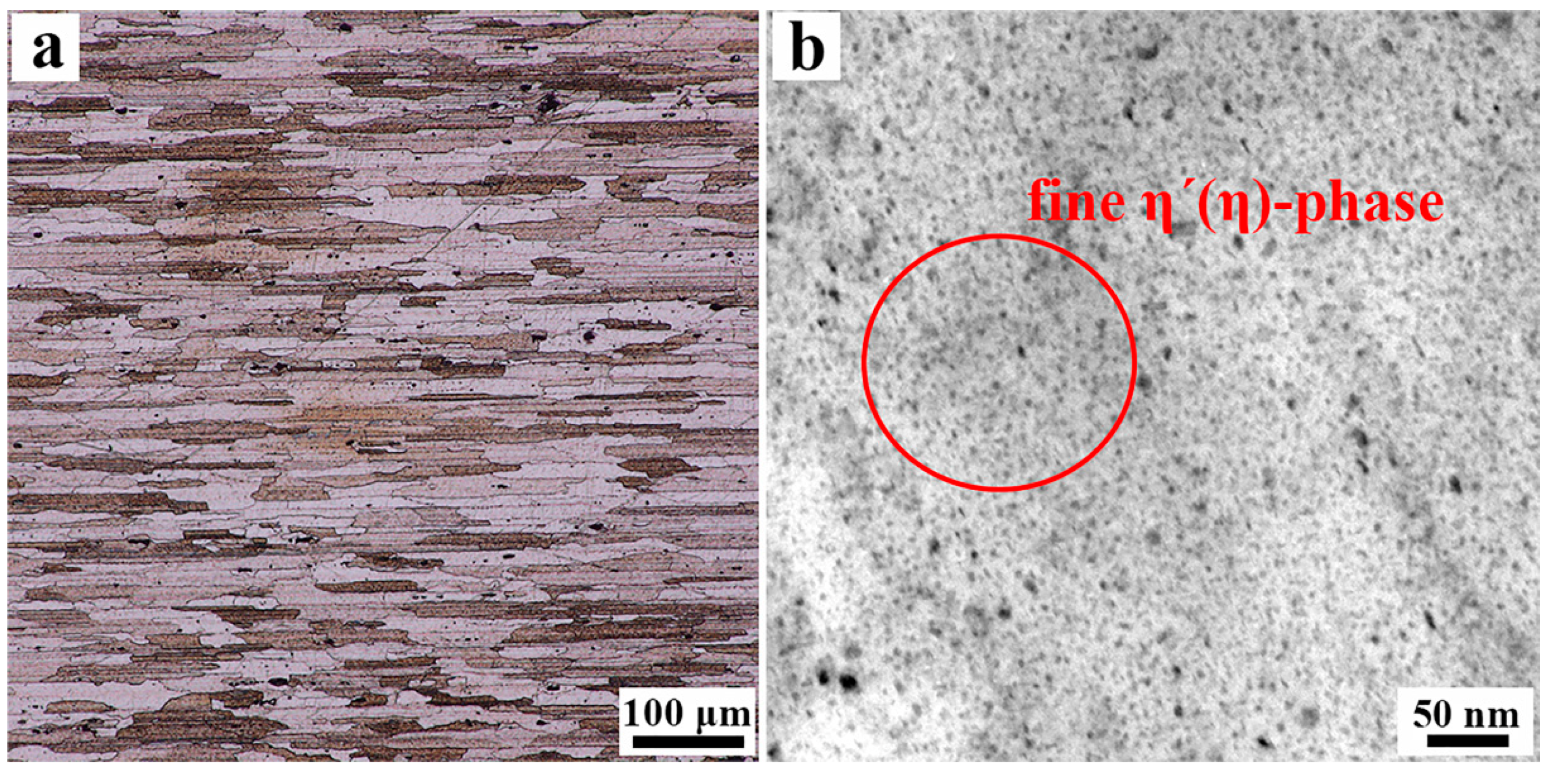 Metals 09 01264 g006