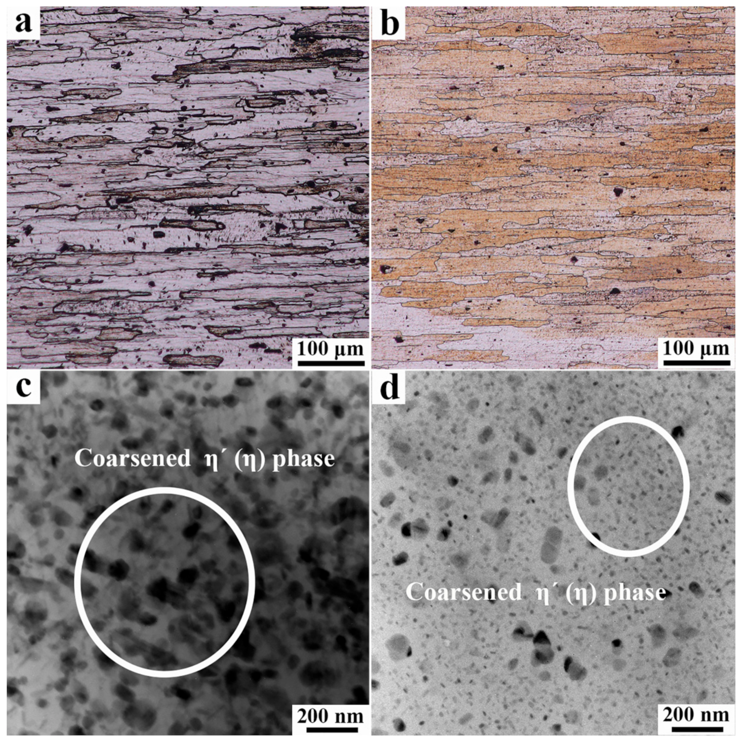 Metals 09 01264 g010