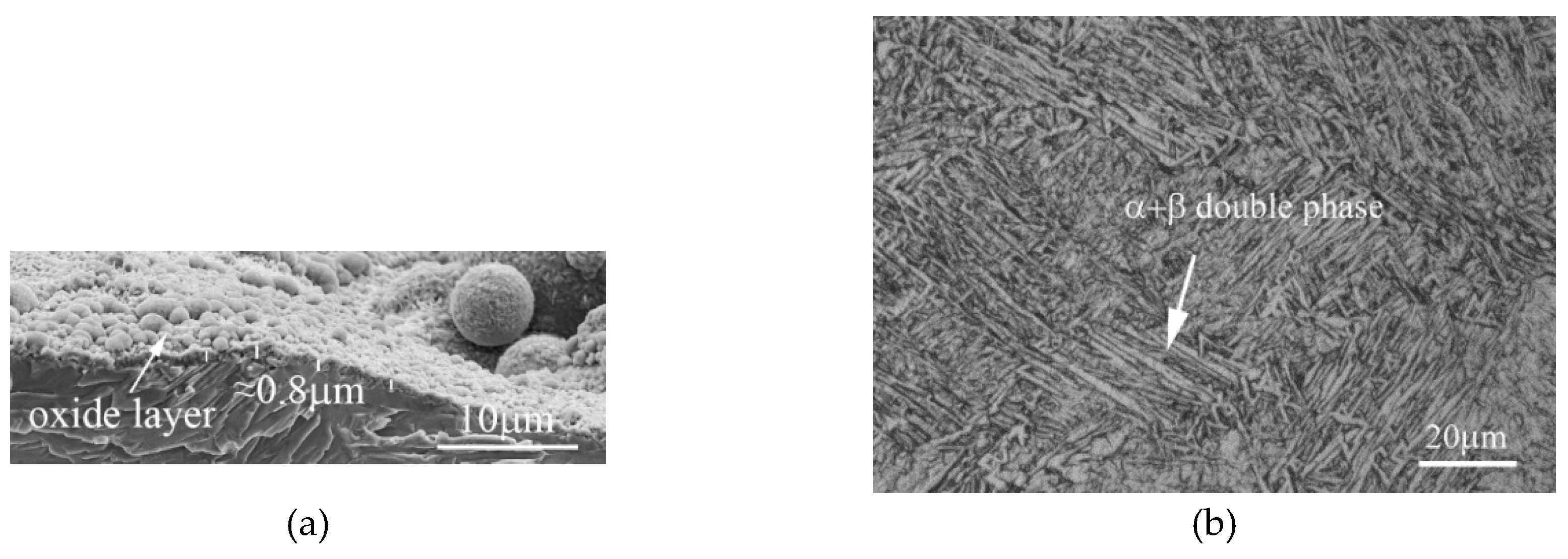 Metals 09 01267 g004 550