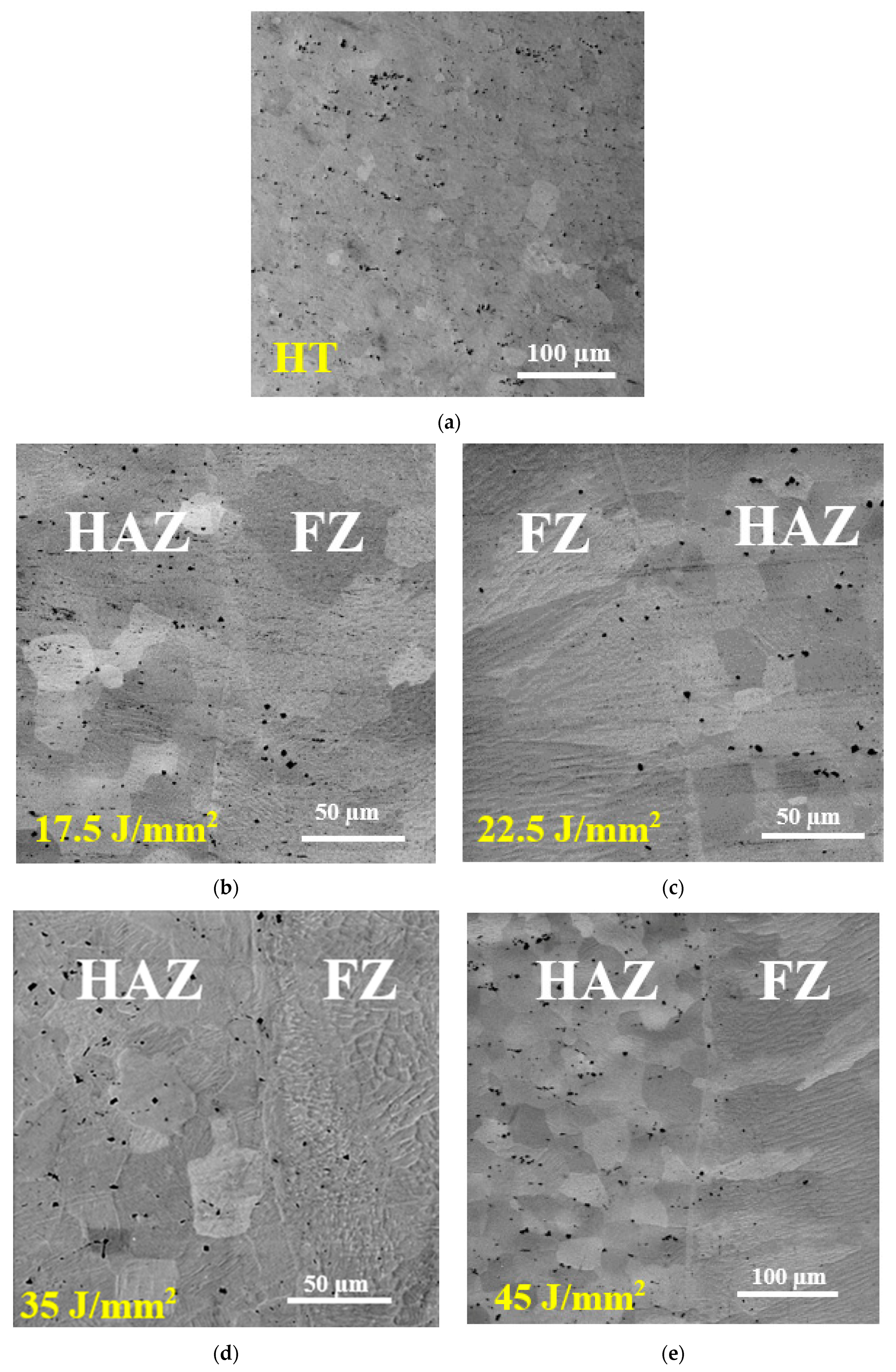 Metals 09 01268 g003 550