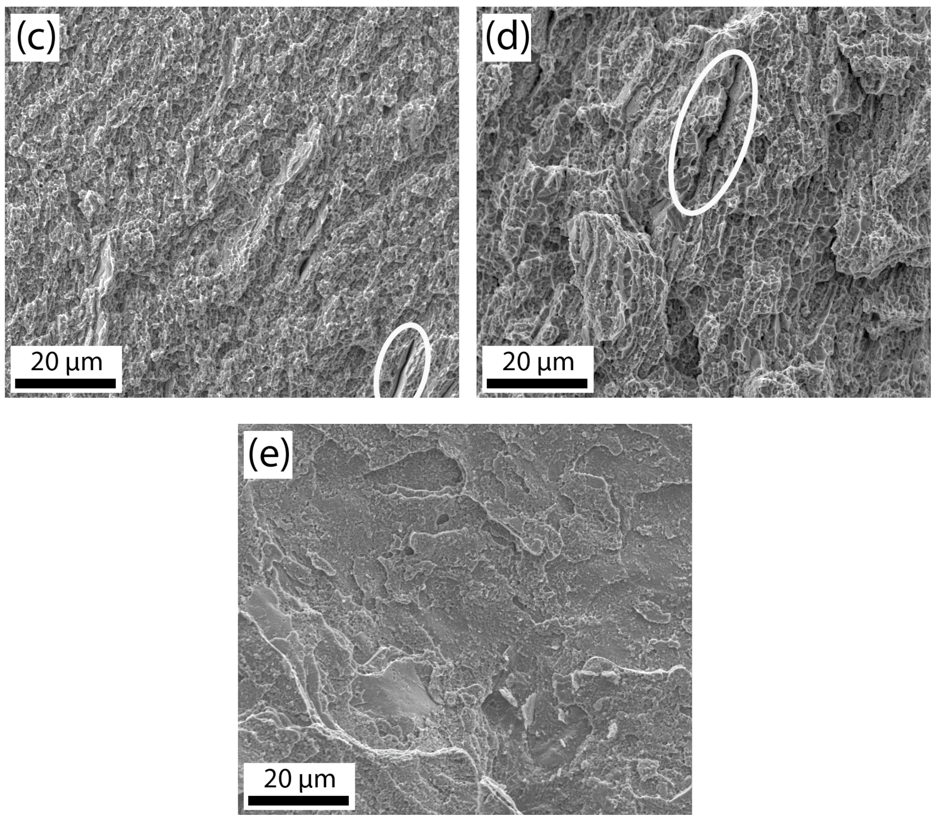 Metals 09 01280 g012b