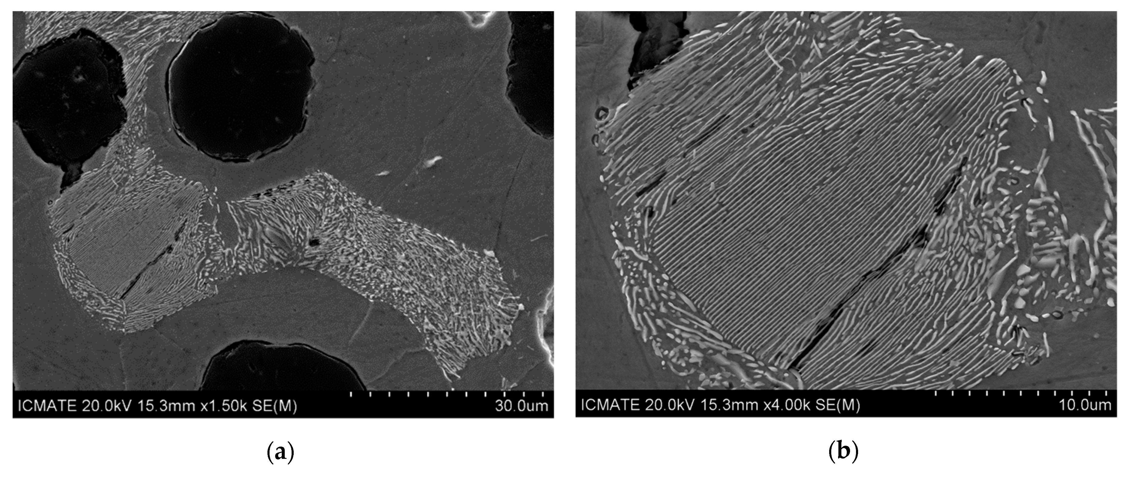 Metals 09 01282 g006