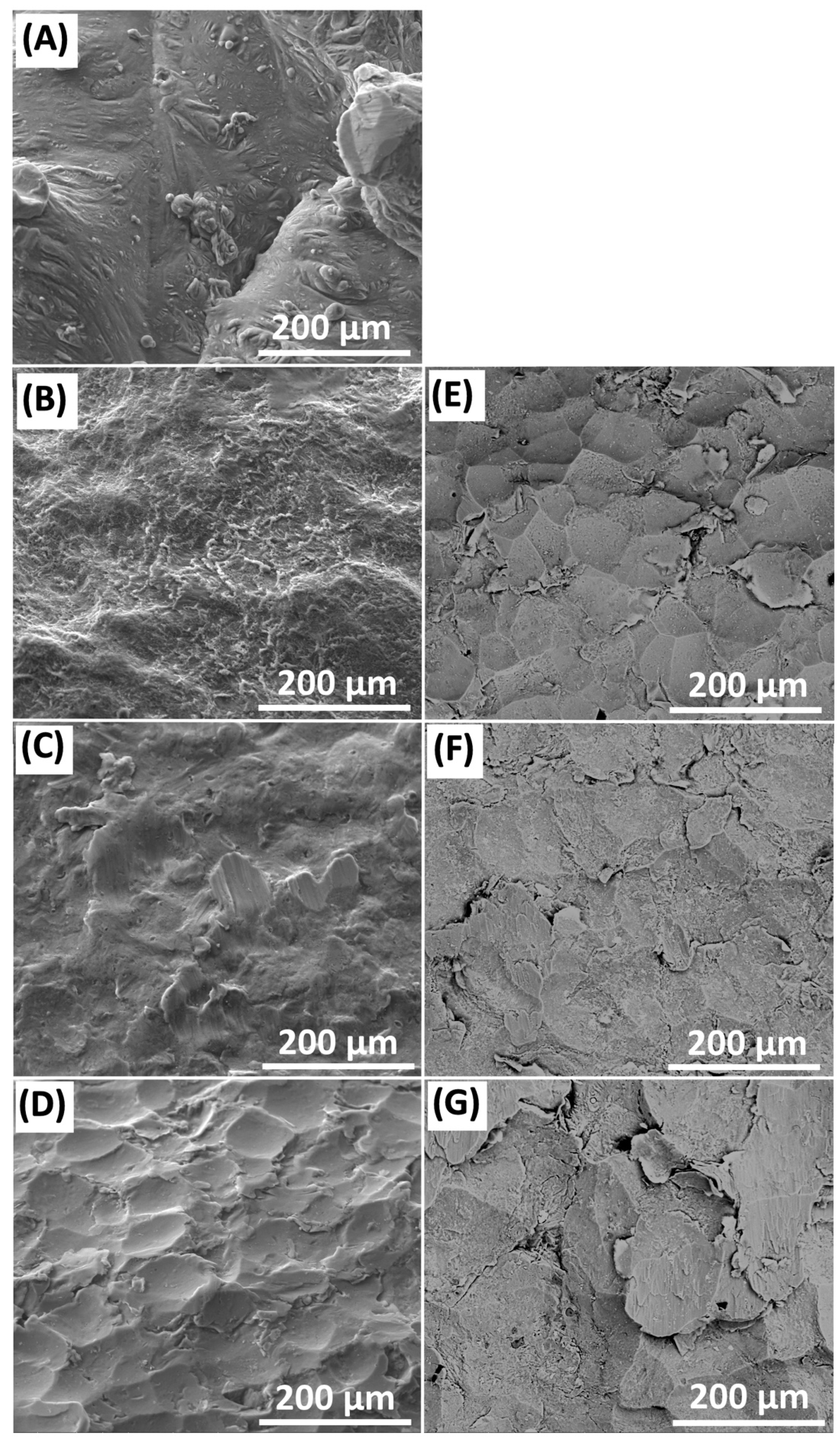 Metals 09 01284 g004 Metals 09 01284 g004