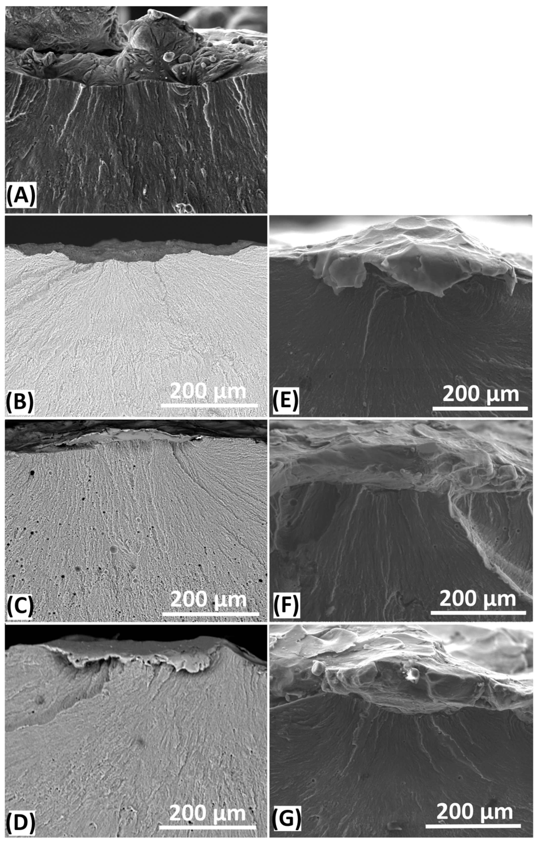 Metals 09 01284 g006 Metals 09 01284 g006