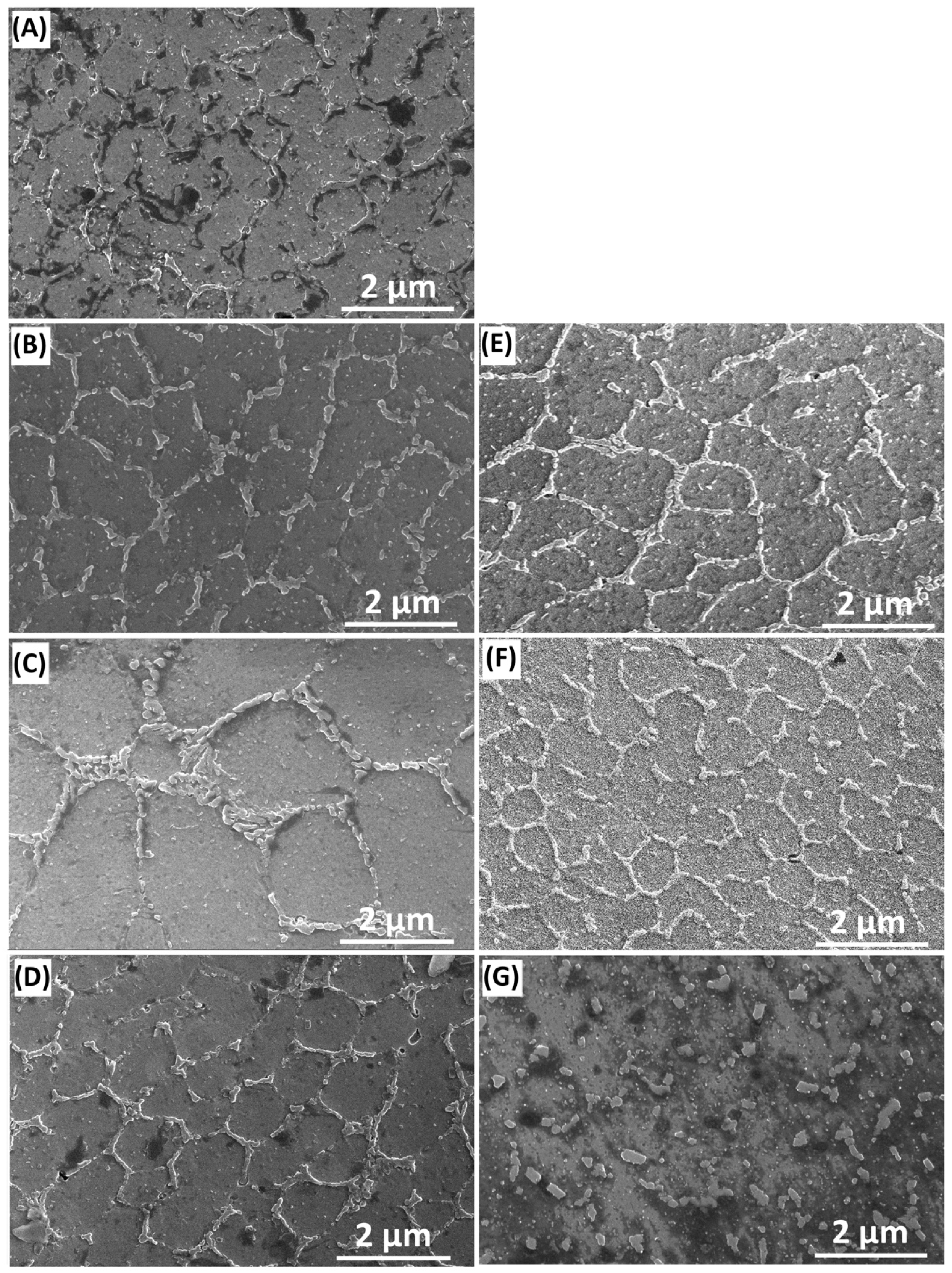 Metals 09 01284 g008 Metals 09 01284 g008