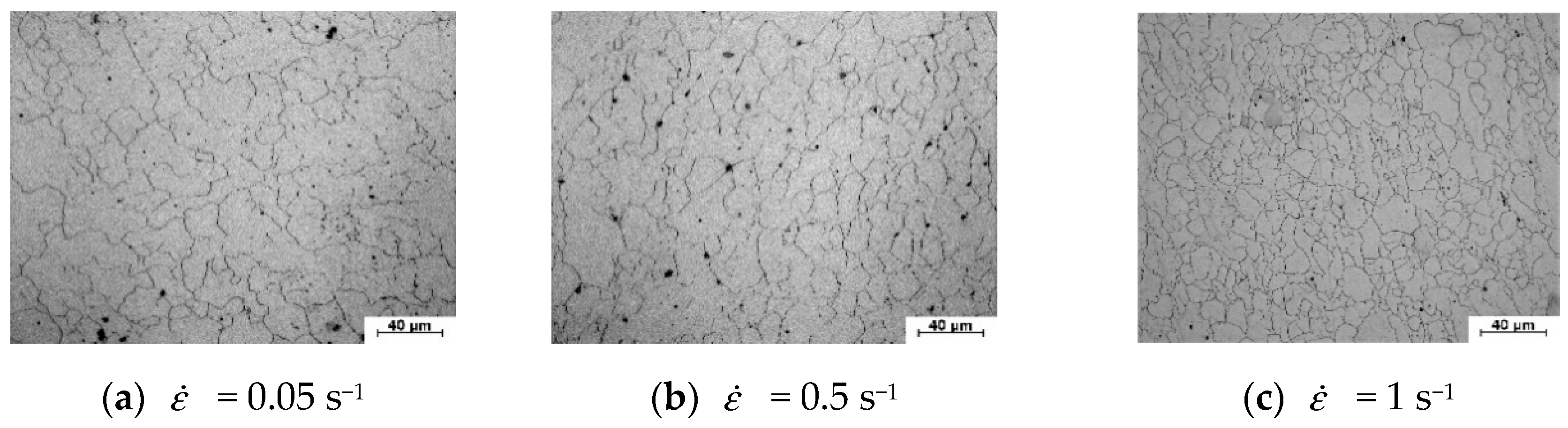 Metals 09 01291 g007 550