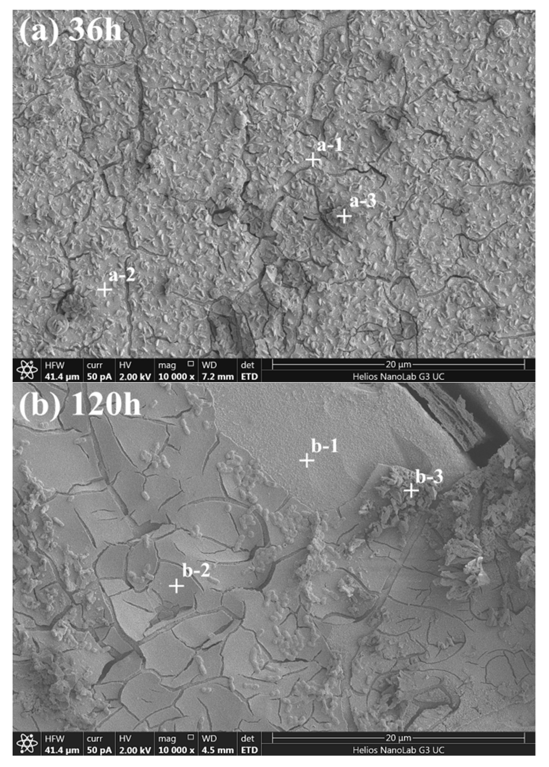 Metals 09 01320 g005 Metals 09 01320 g005