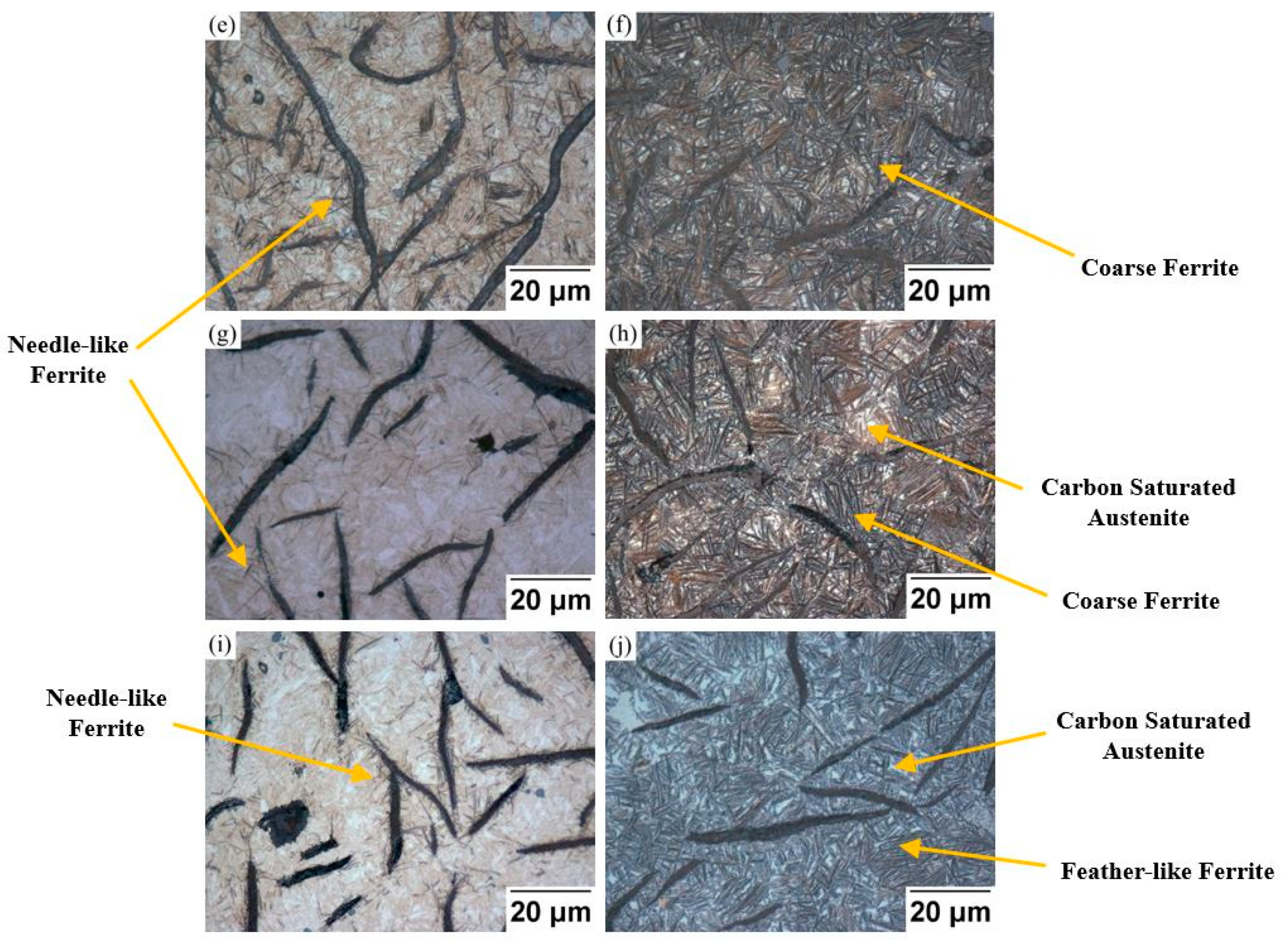 Metals 09 01329 g004b