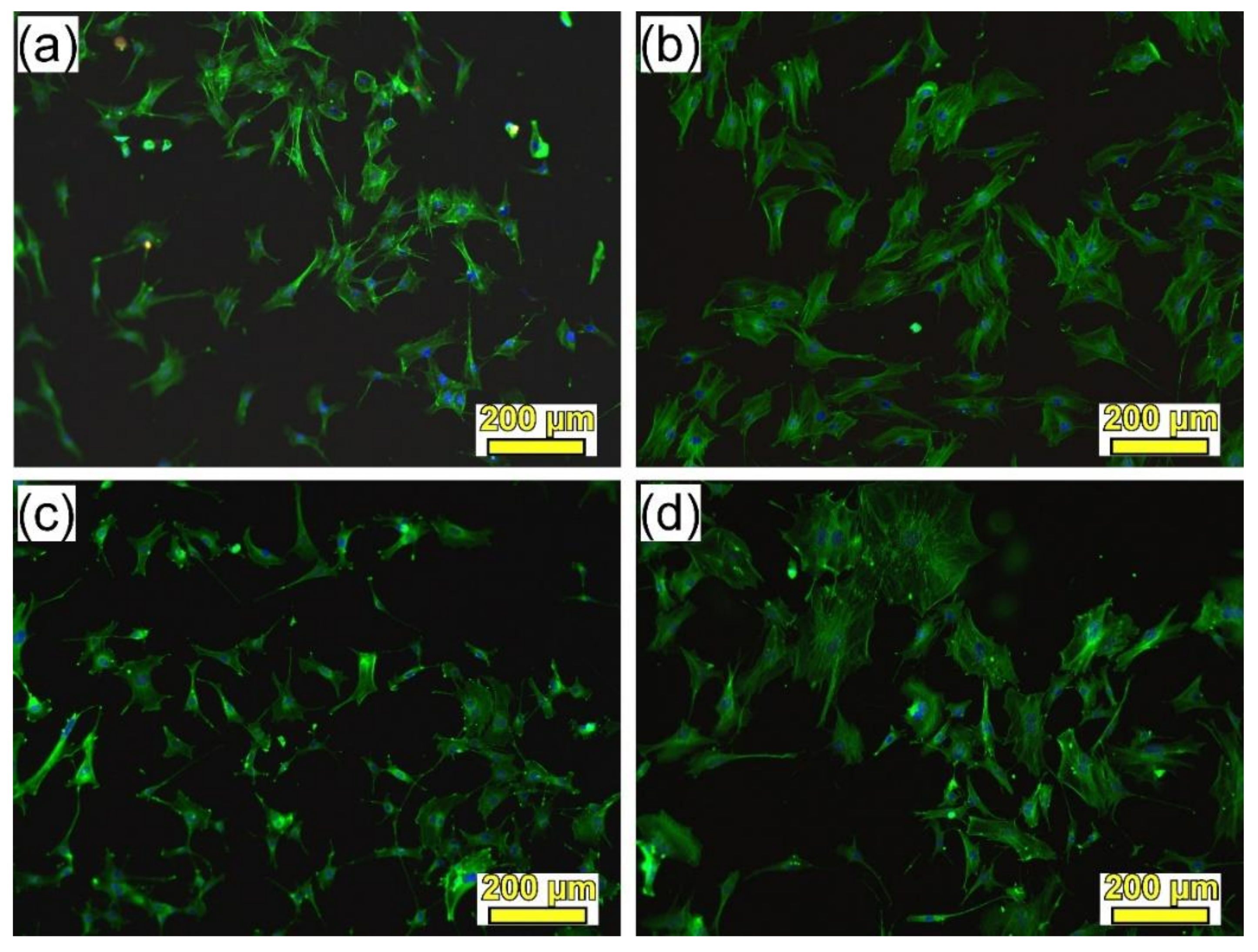 Metals 09 01332 g010