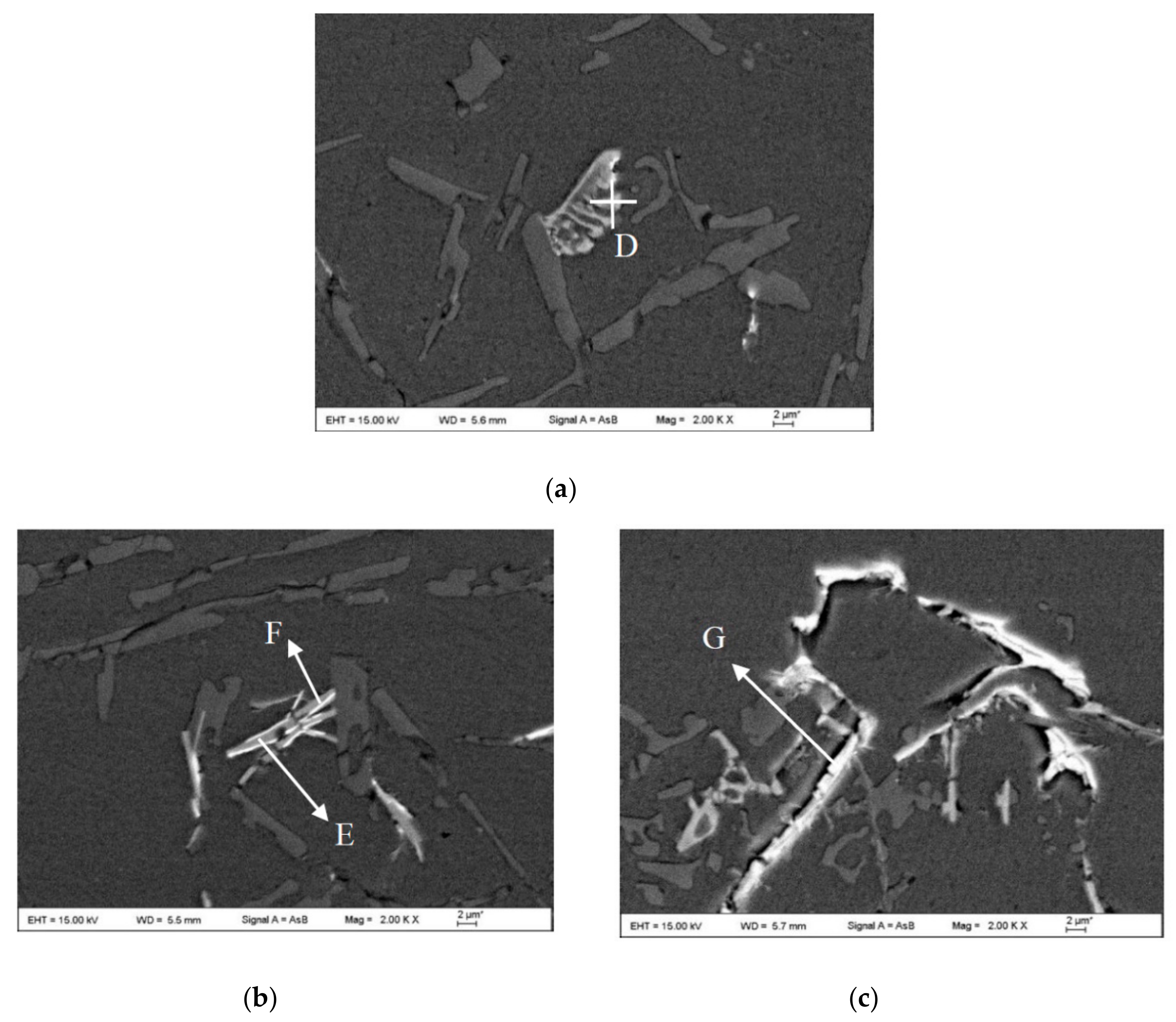 Metals 09 01336 g010