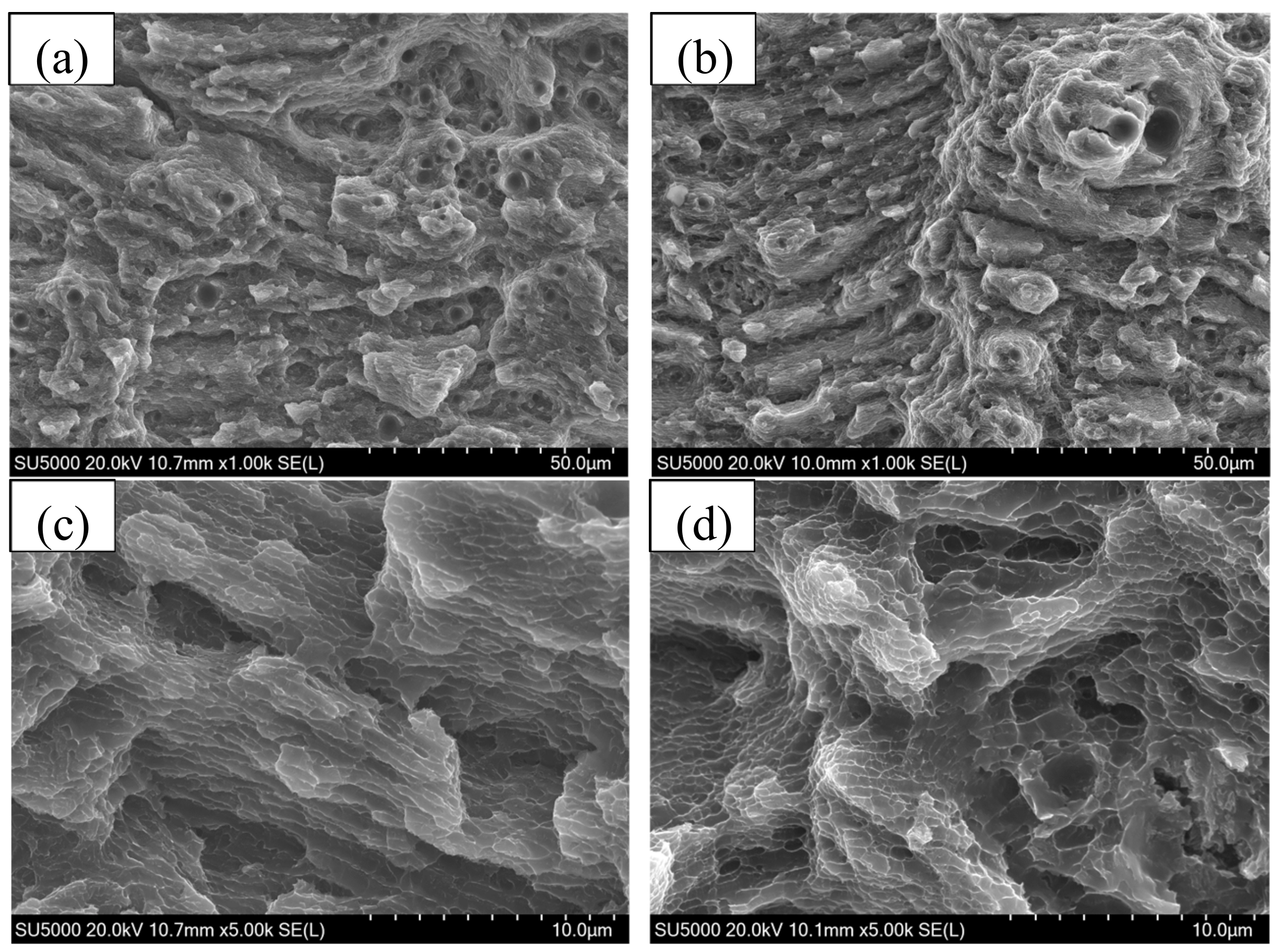 Metals 09 01337 g011