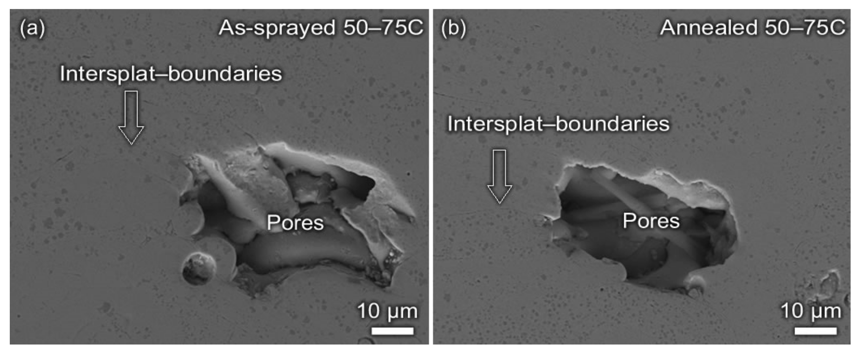 Metals 09 01342 g008a