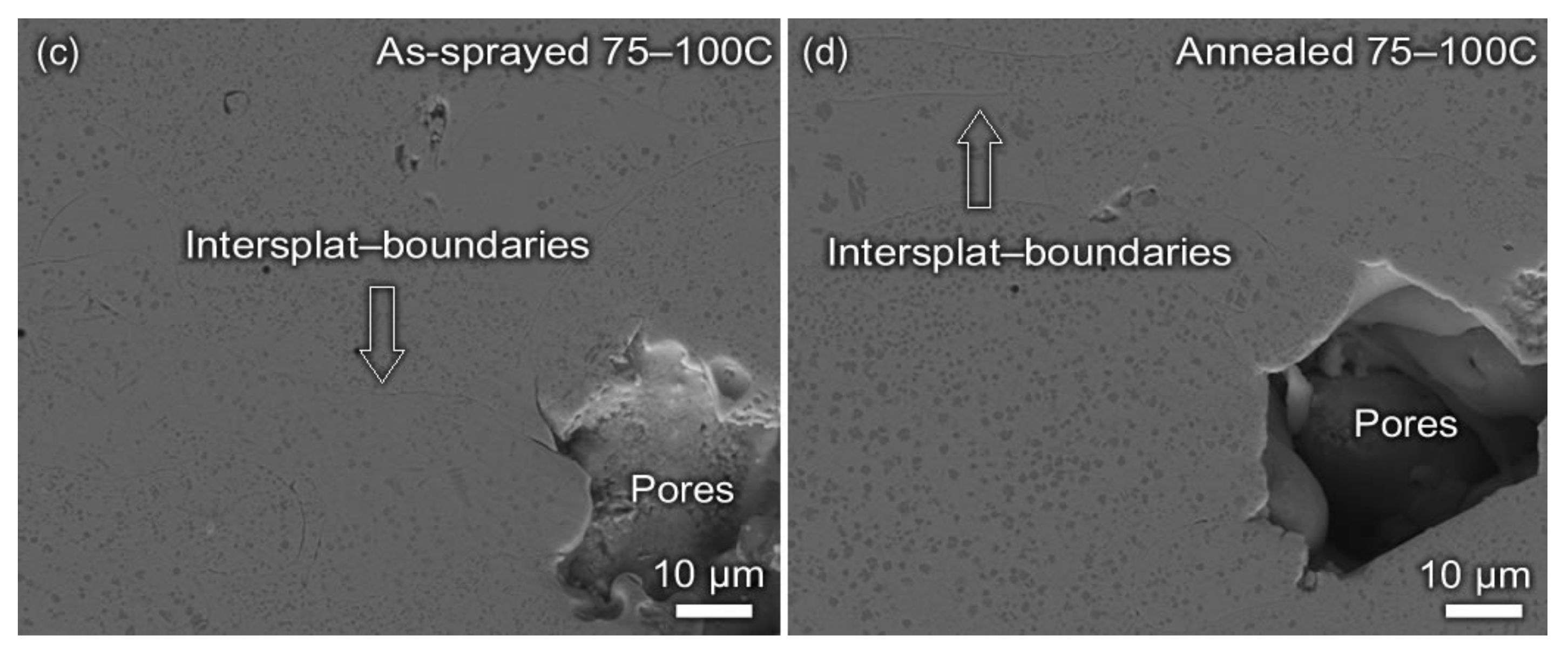 Metals 09 01342 g008b