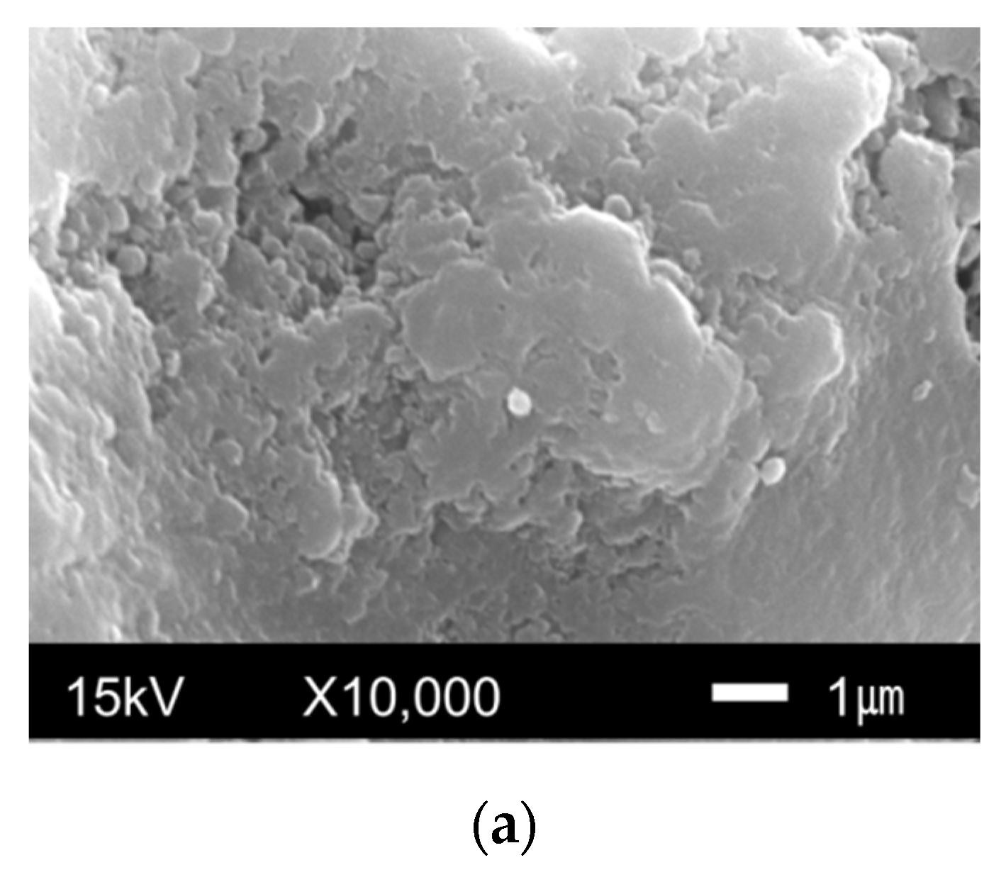 Metals 09 01347 g012a