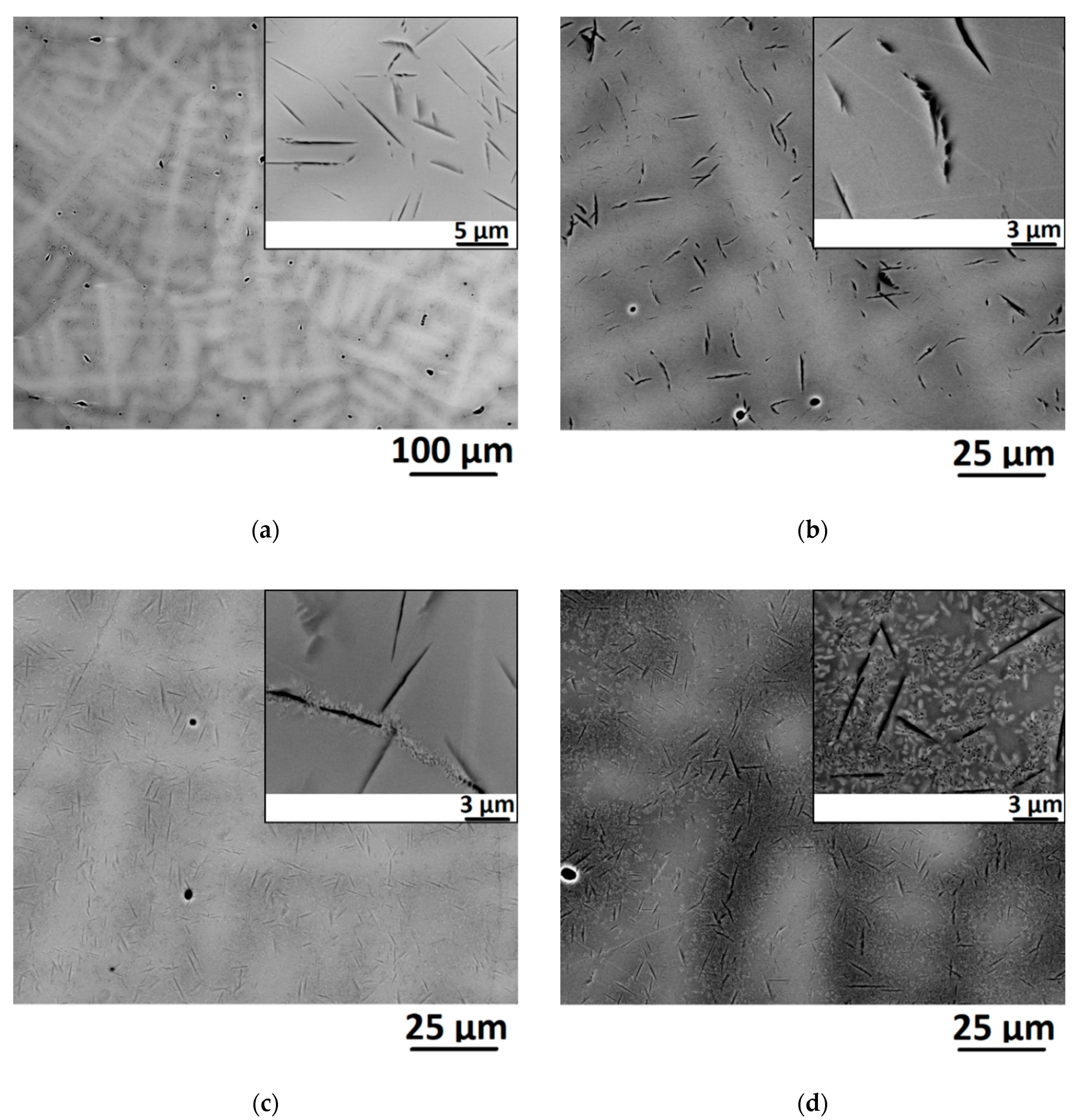 Metals 09 01351 g006