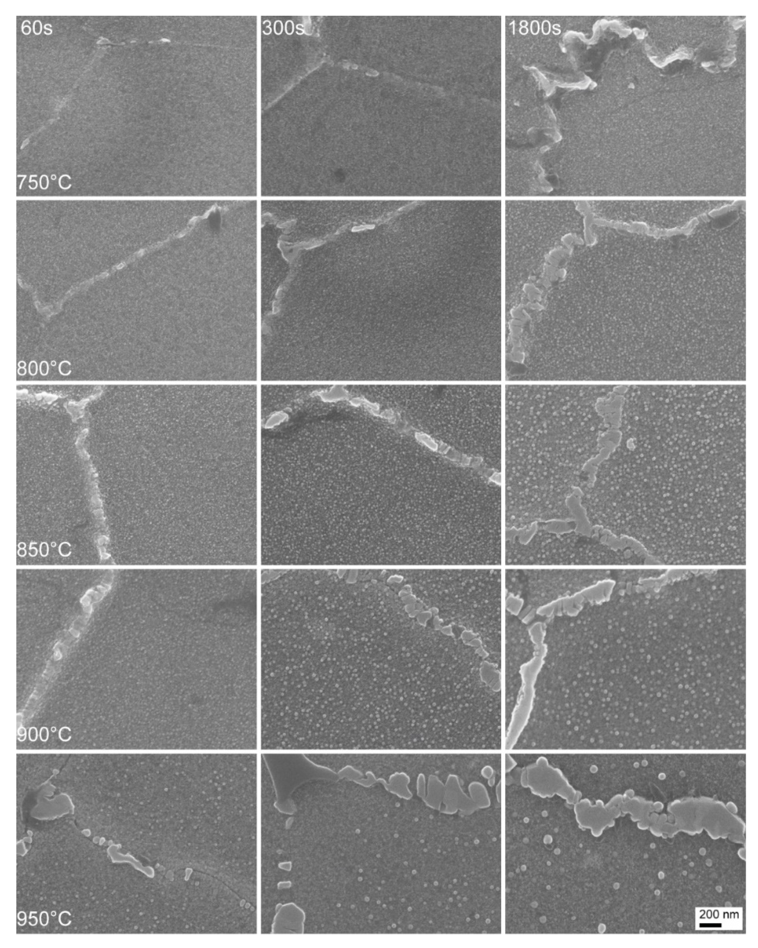 Metals 09 01357 g007