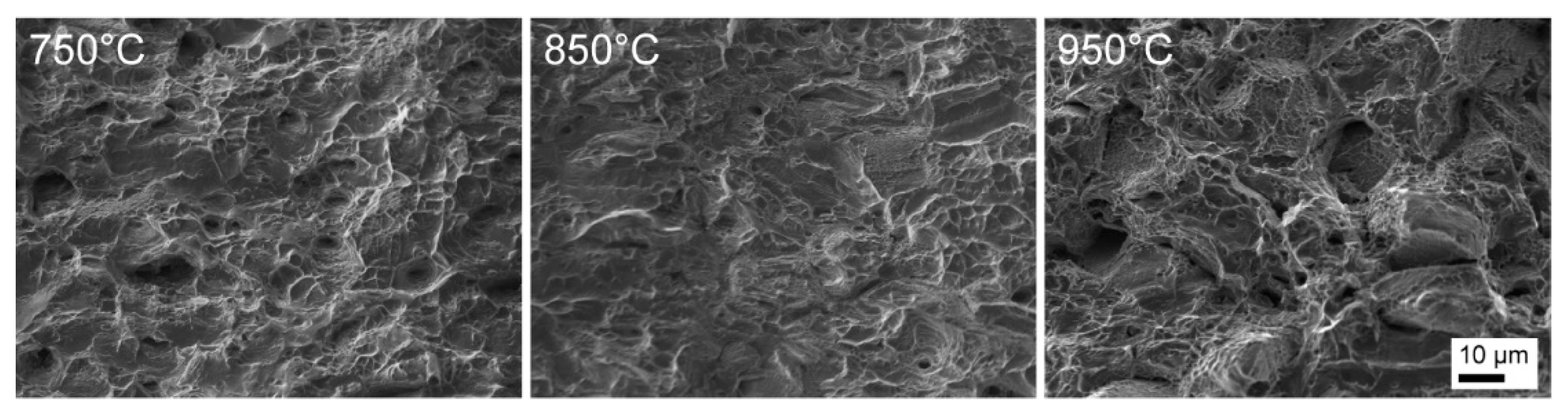 Metals 09 01357 g012