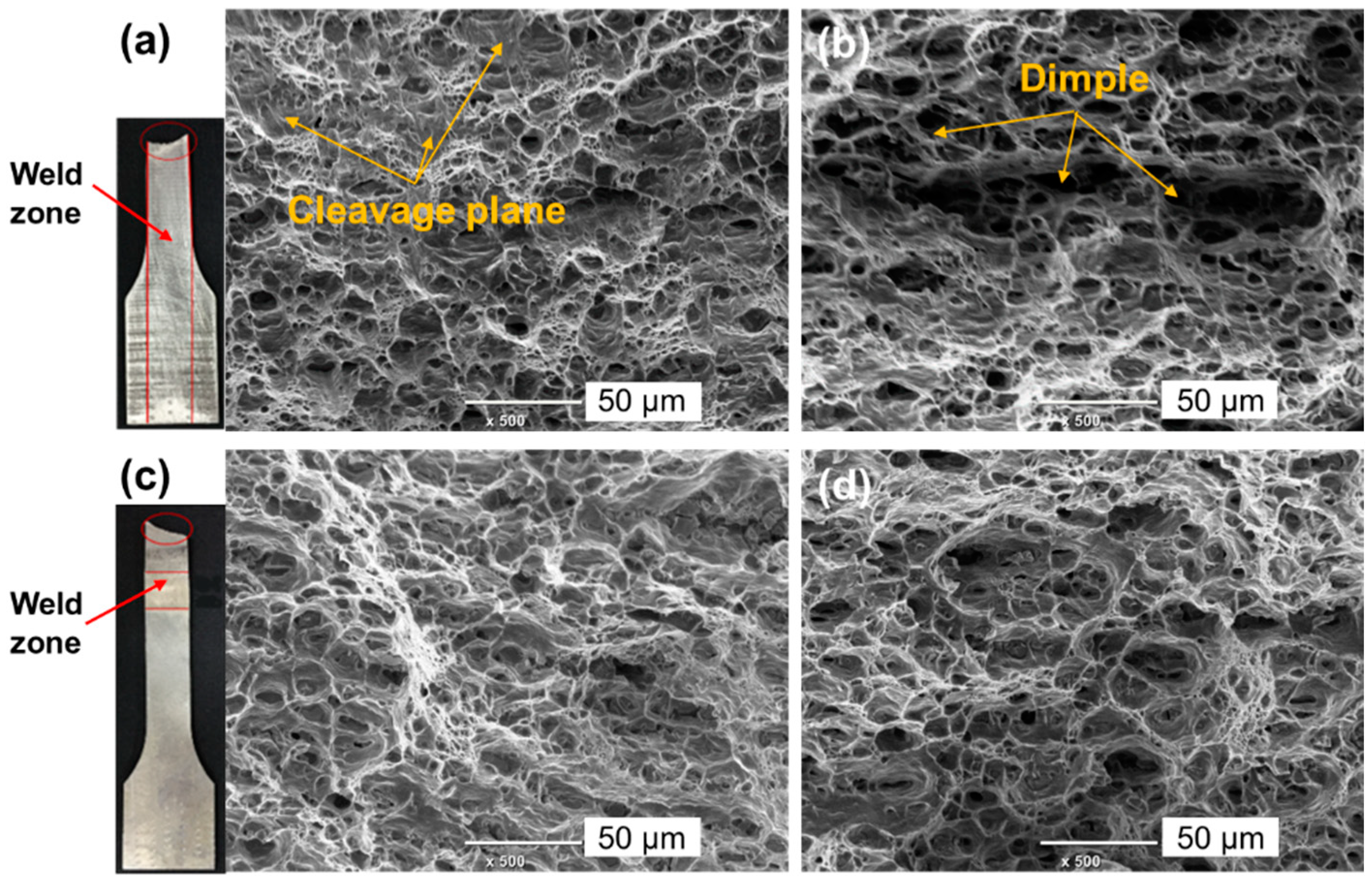 Metals 09 01359 g020