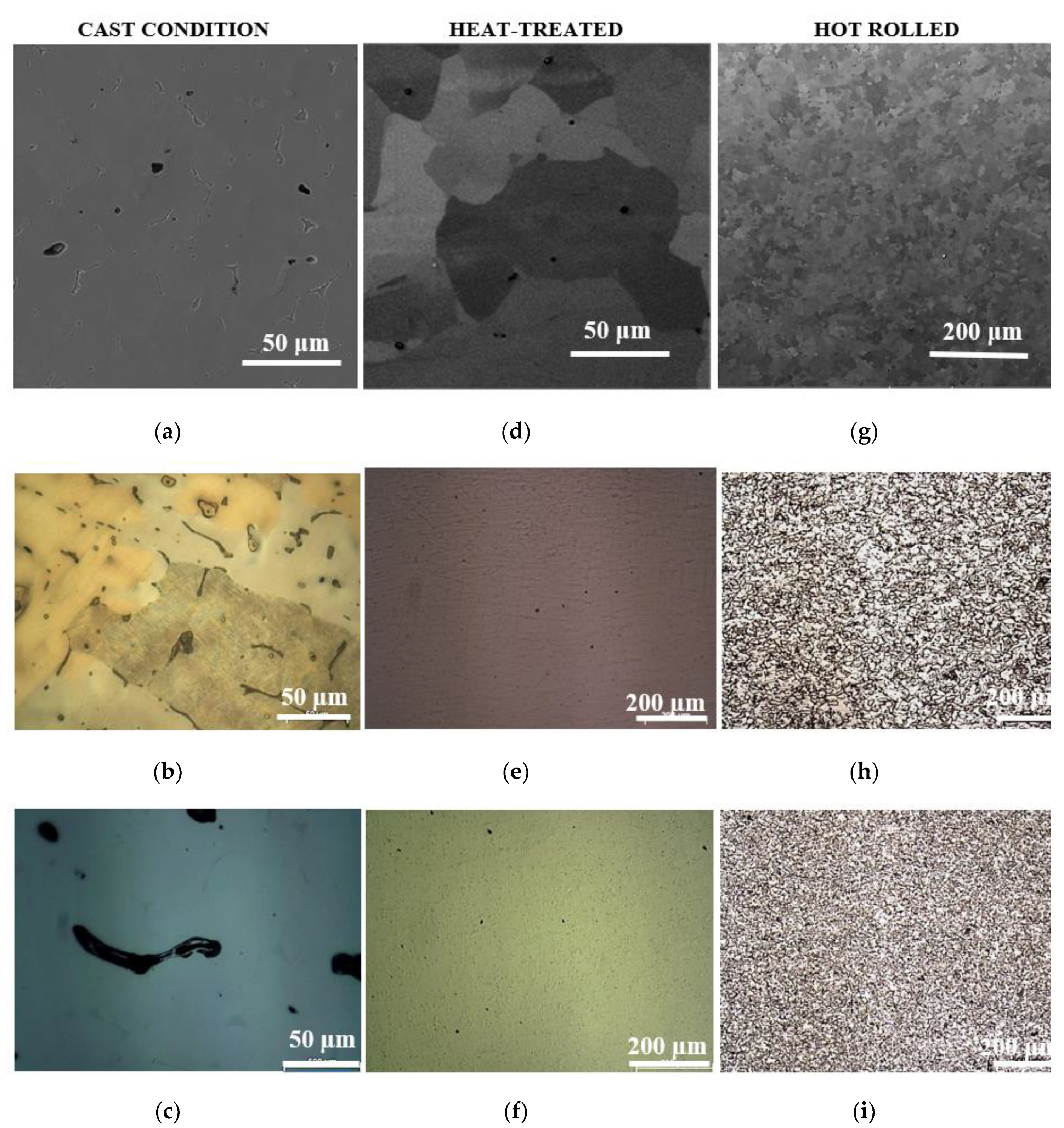 Metals 10 00013 g001