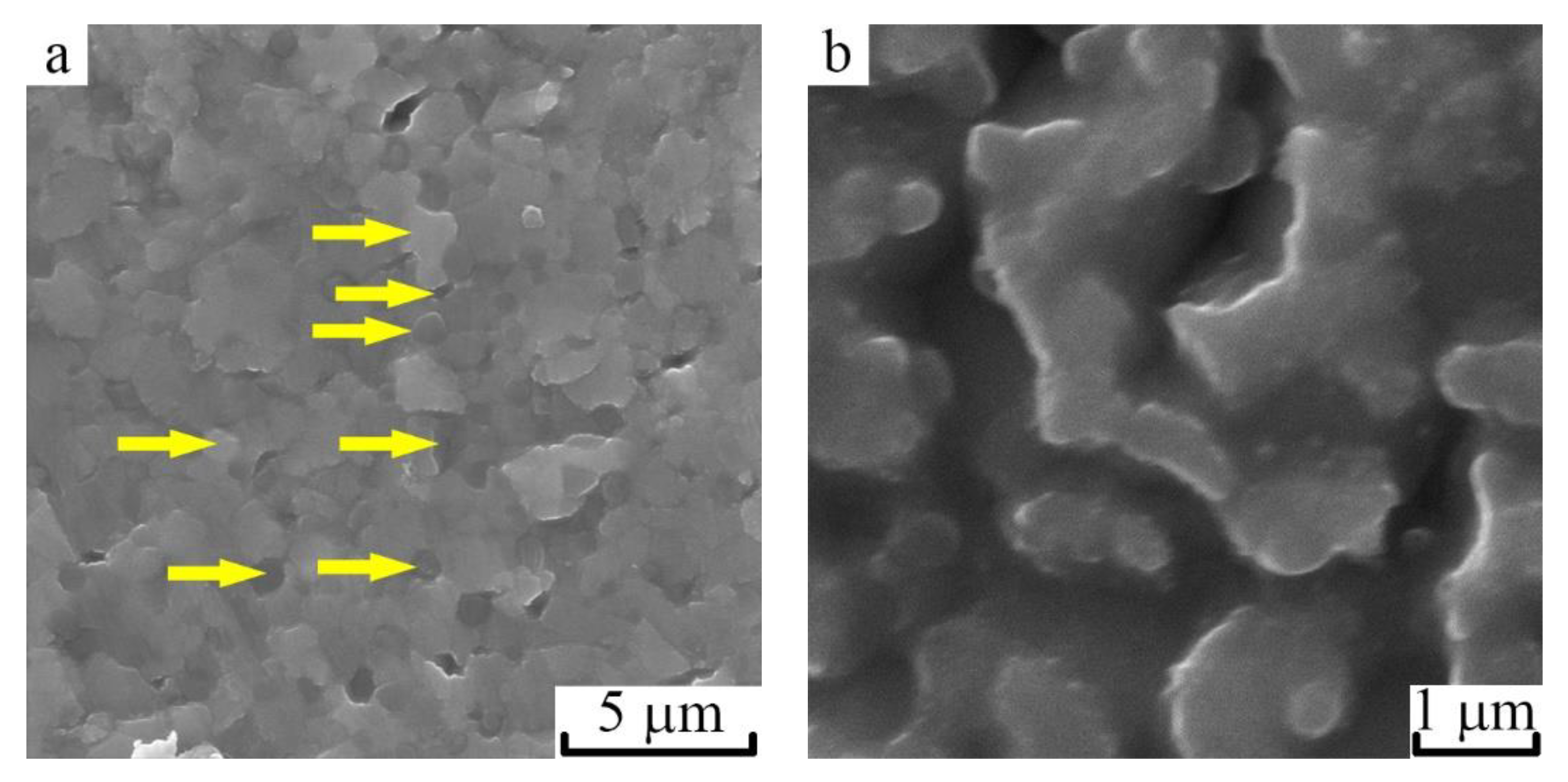 Metals 10 00027 g005a Metals 10 00027 g005a