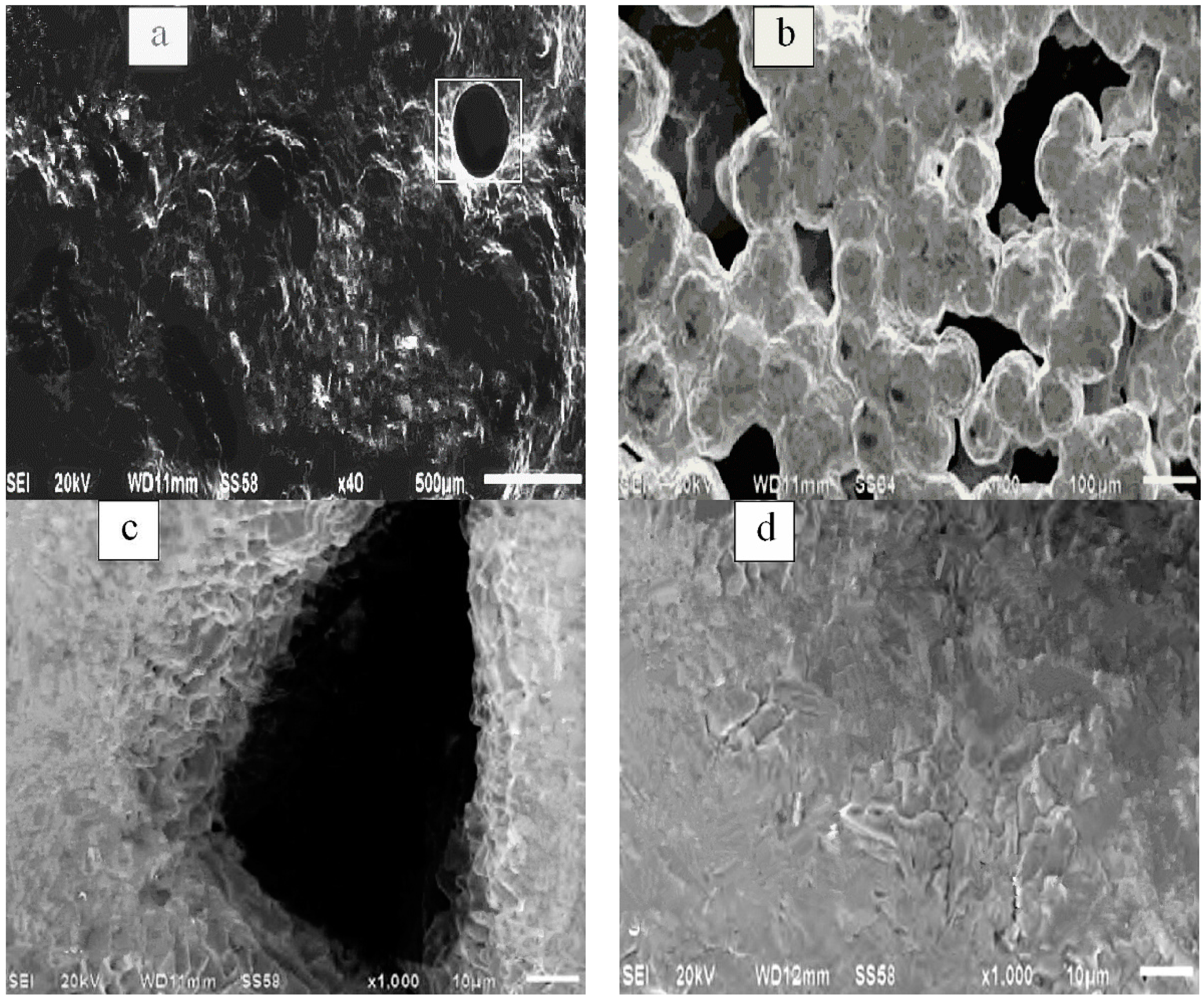 Metals 10 00050 g009 Metals 10 00050 g009