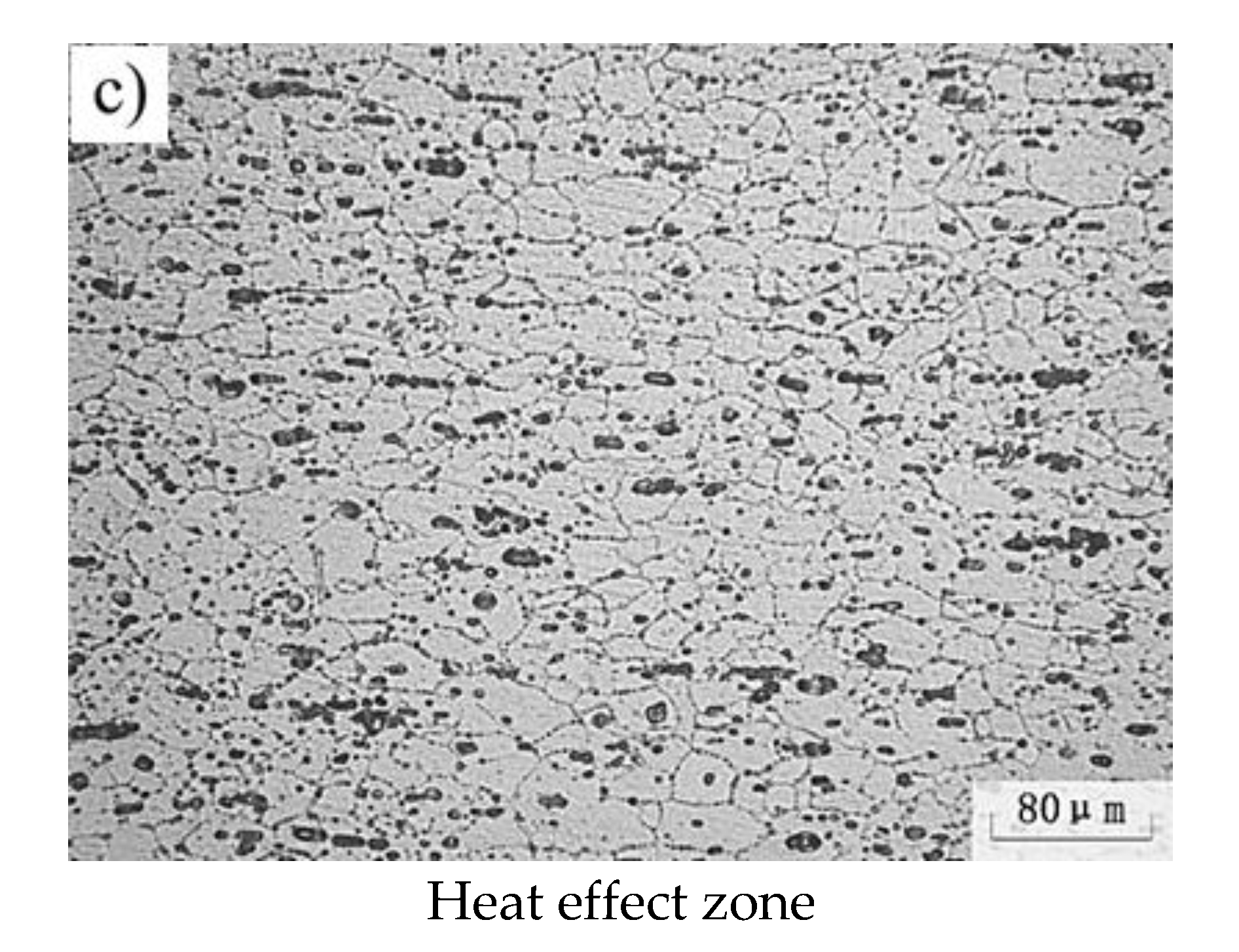 Metals 10 00130 g007b