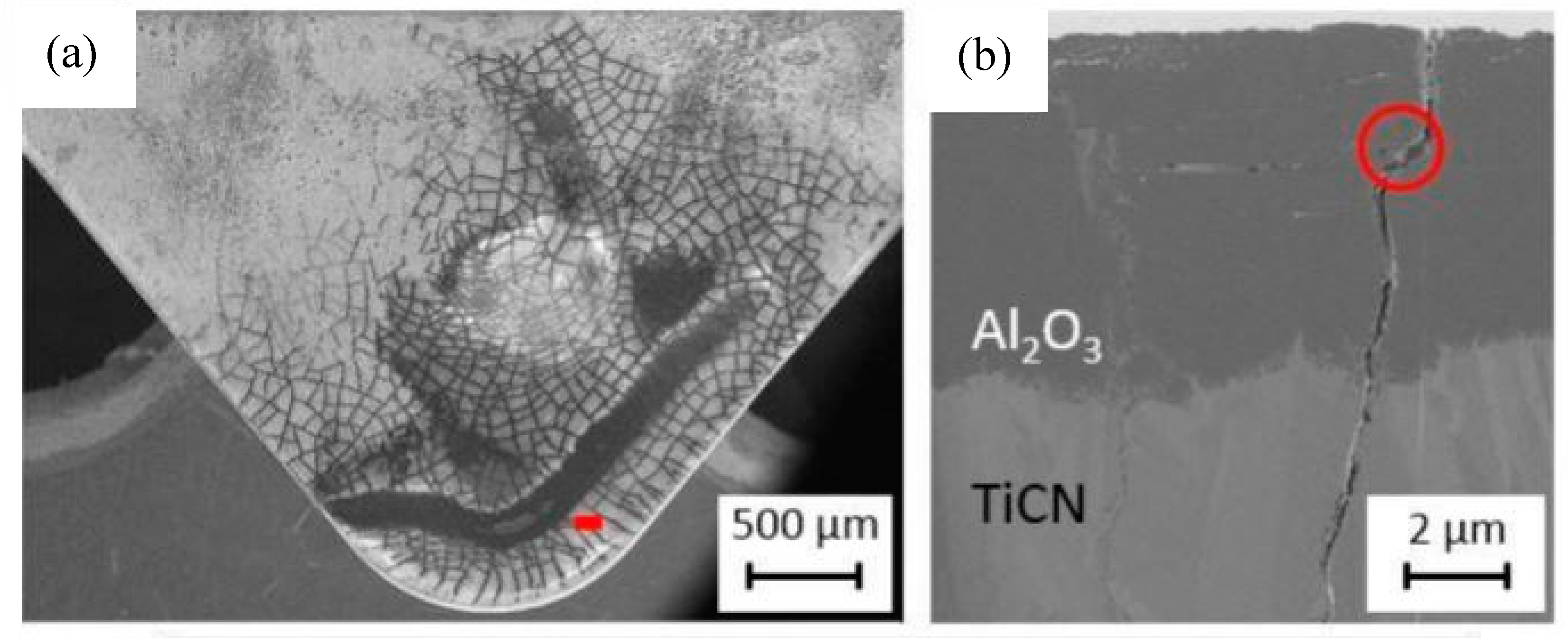 Metals 10 00170 g014