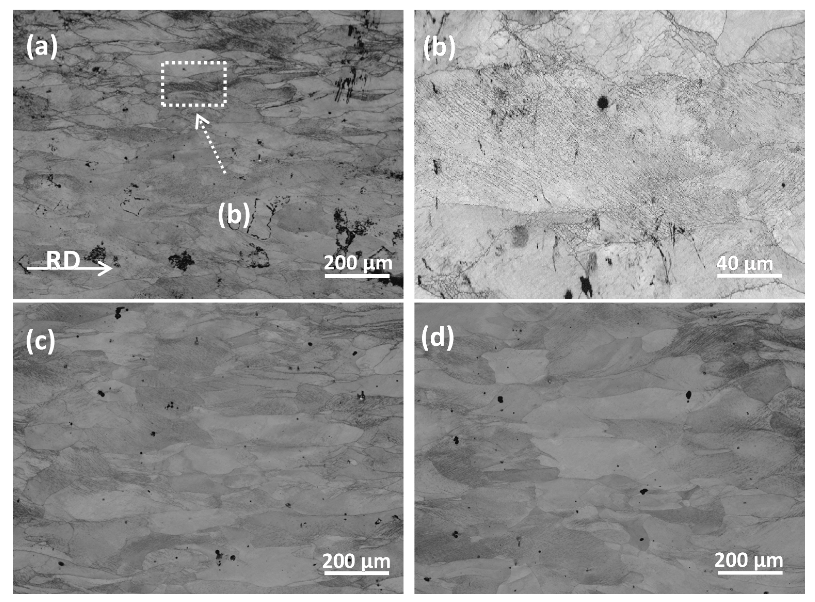 Metals 10 00178 g004