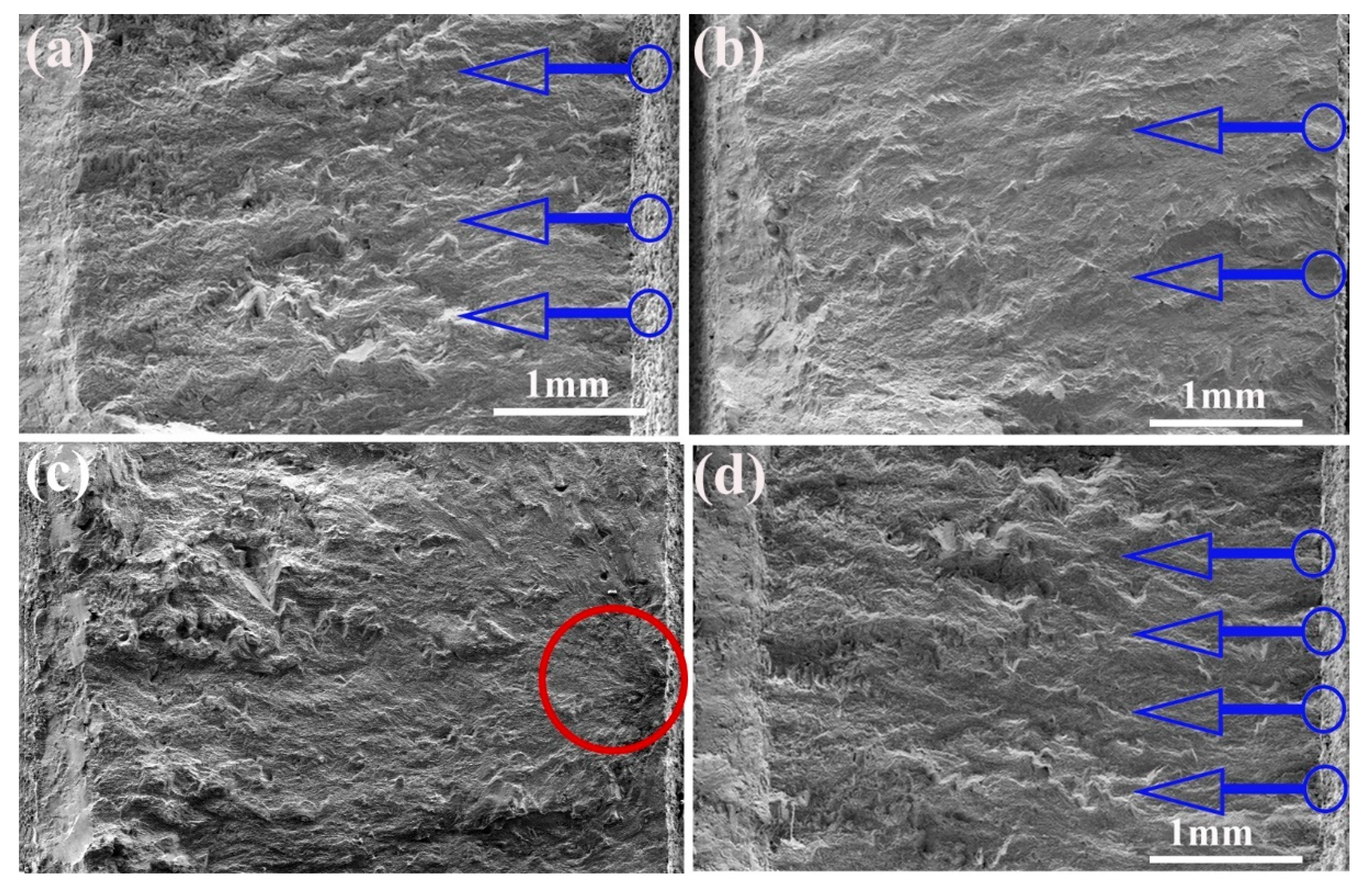 Metals 10 00191 g008 Metals 10 00191 g008